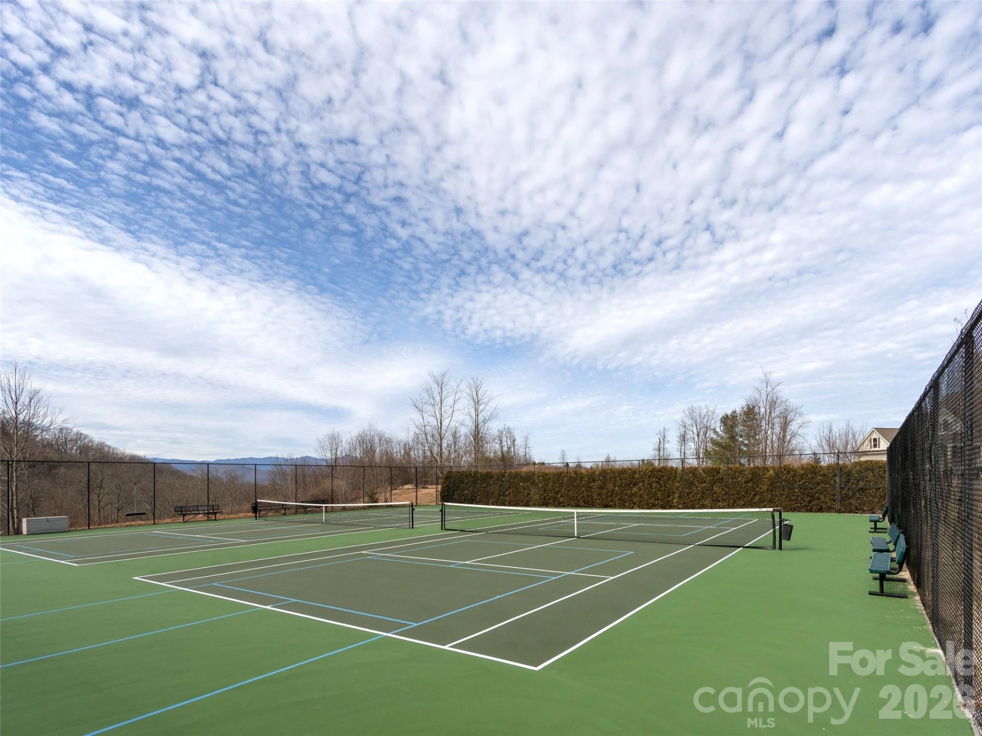 206 Black Oak Lane - Photo 37