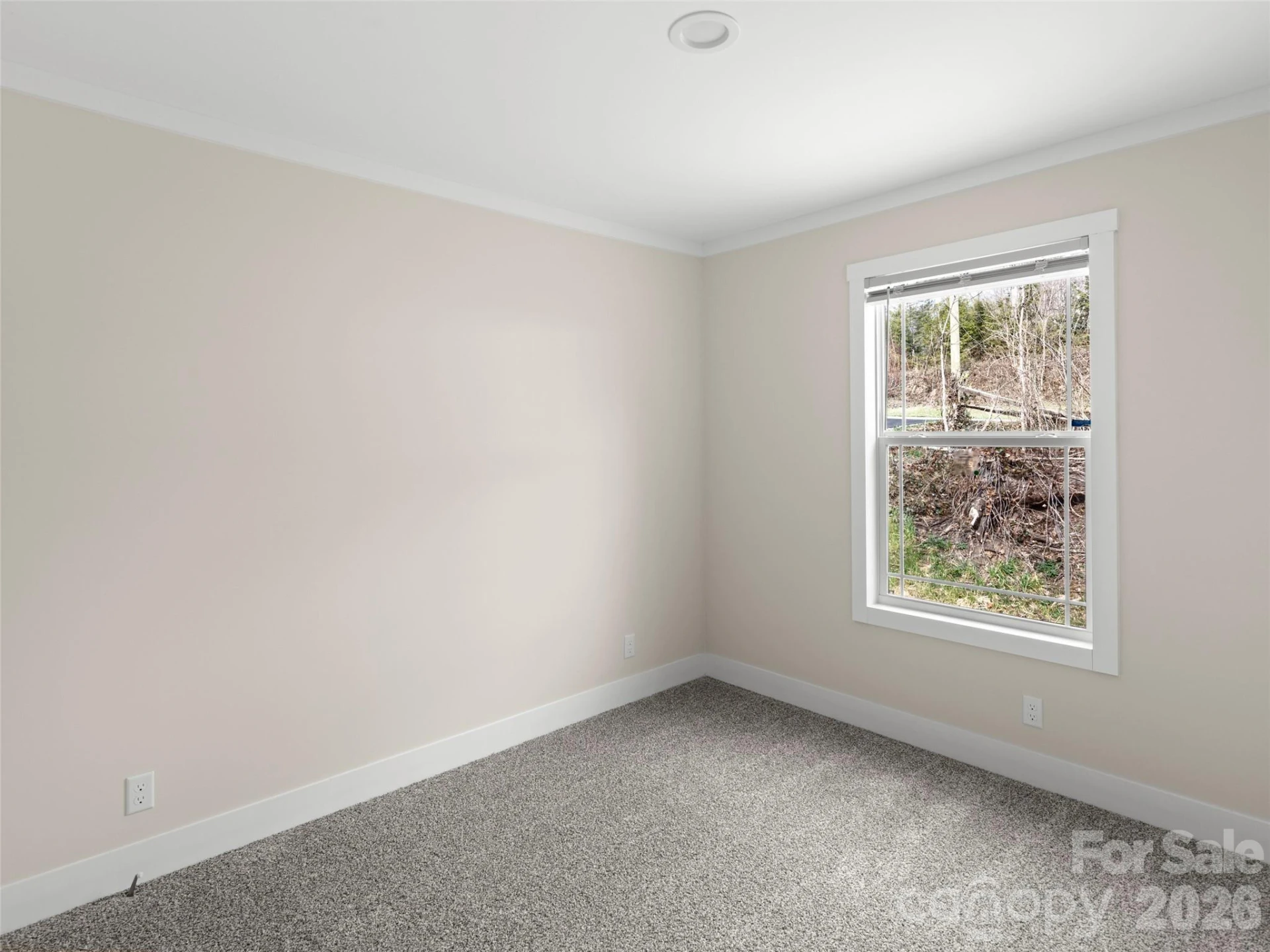 2095 Emmas Grove Road - Photo 17
