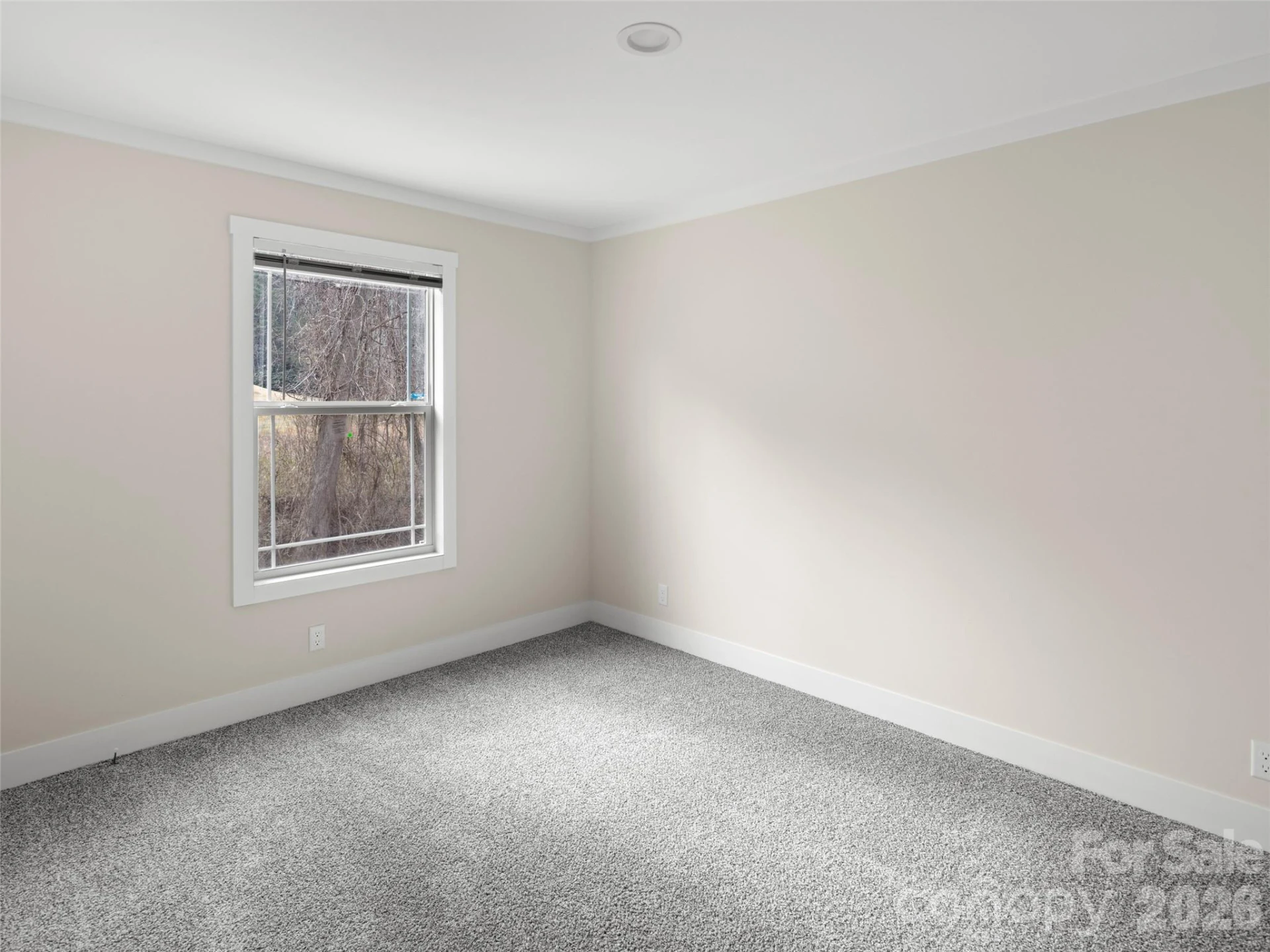 2095 Emmas Grove Road - Photo 18