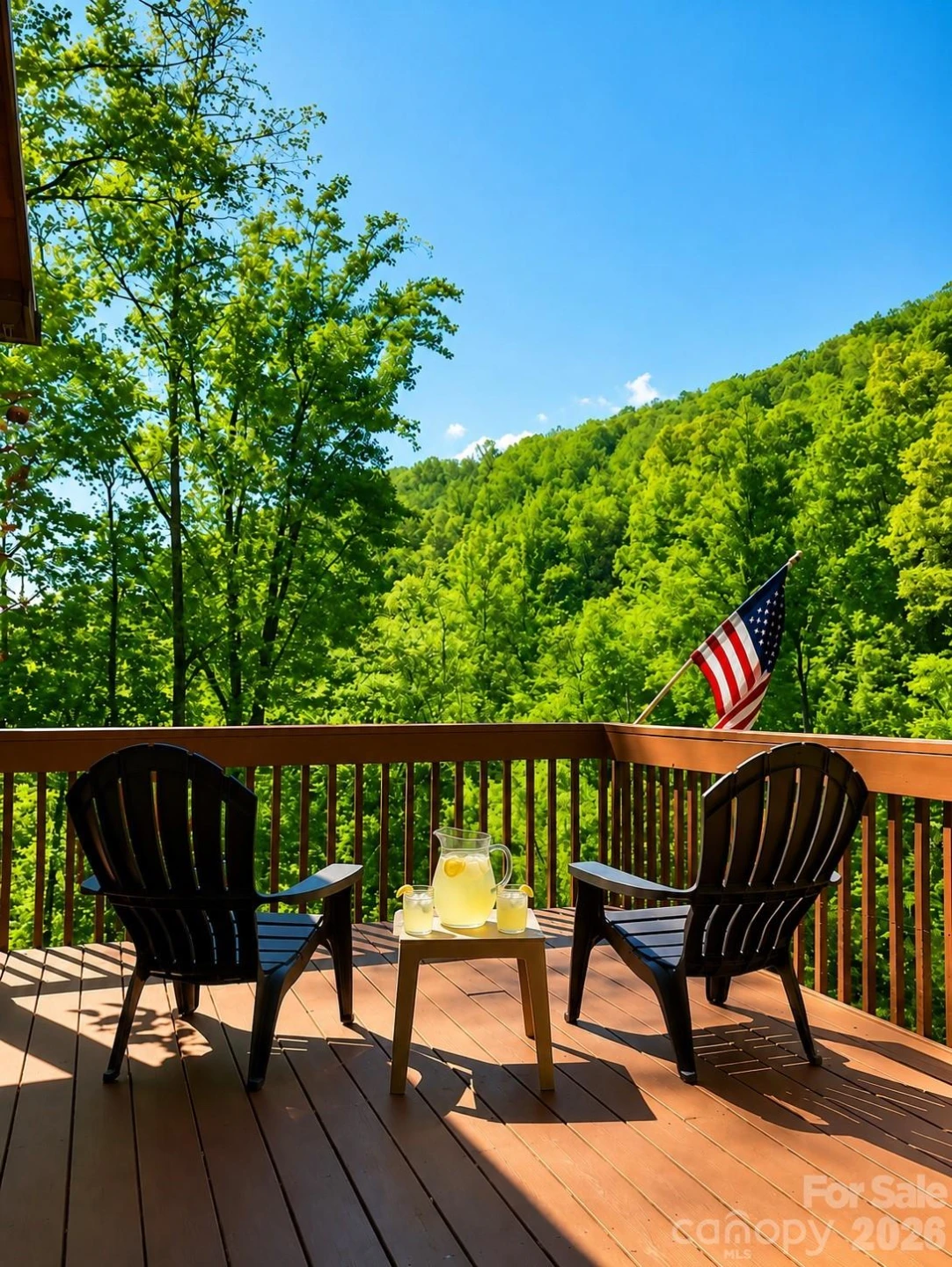 420 Chimney Rock Drive - Photo 2