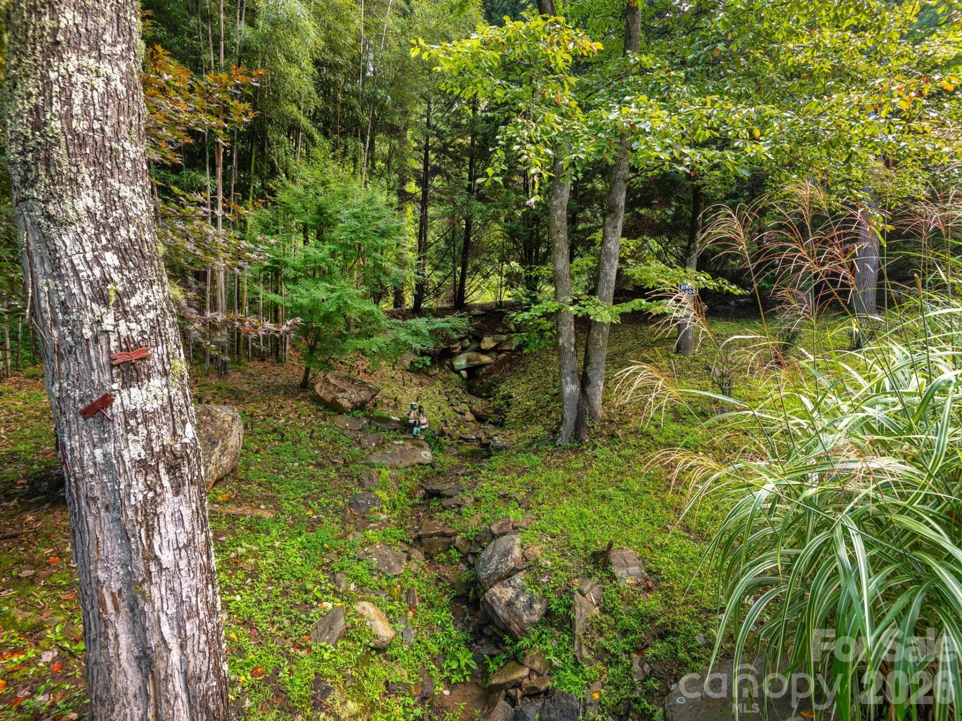 420 Chimney Rock Drive - Photo 35