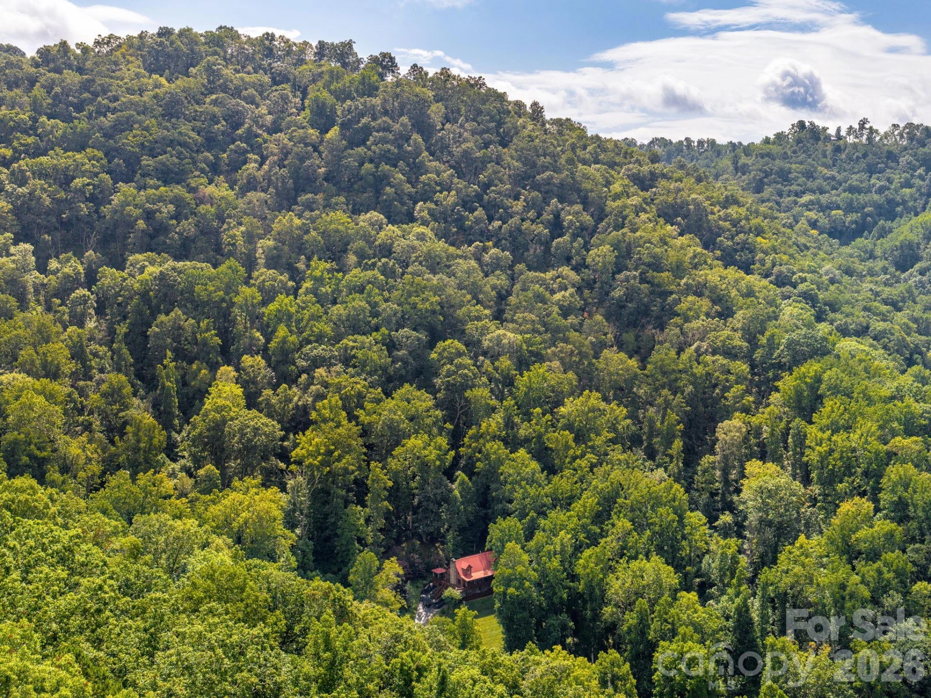 420 Chimney Rock Drive - Photo 41