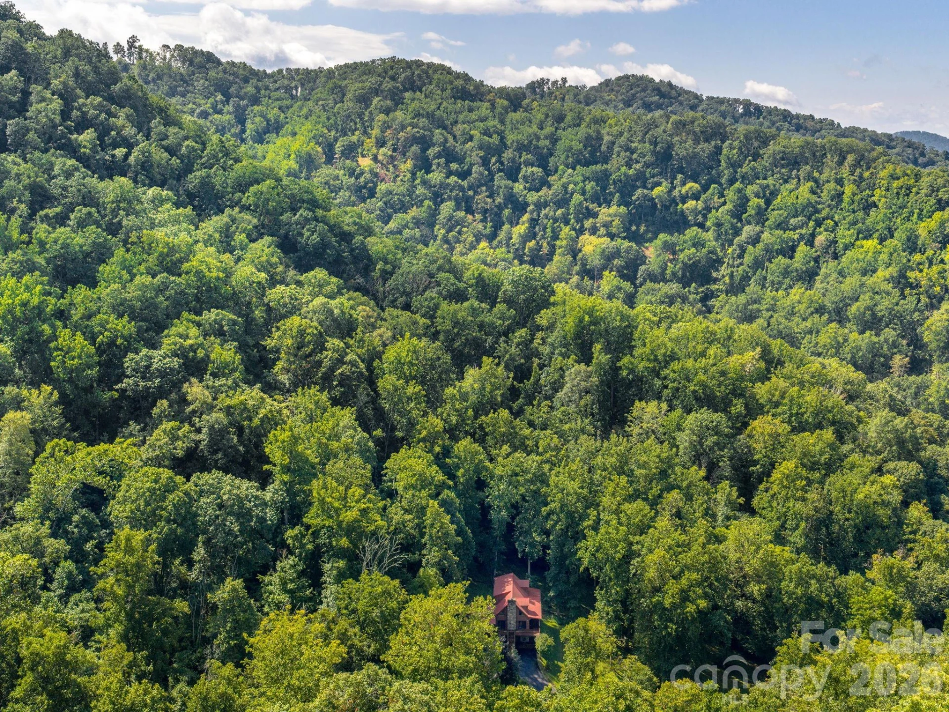 420 Chimney Rock Drive - Photo 42