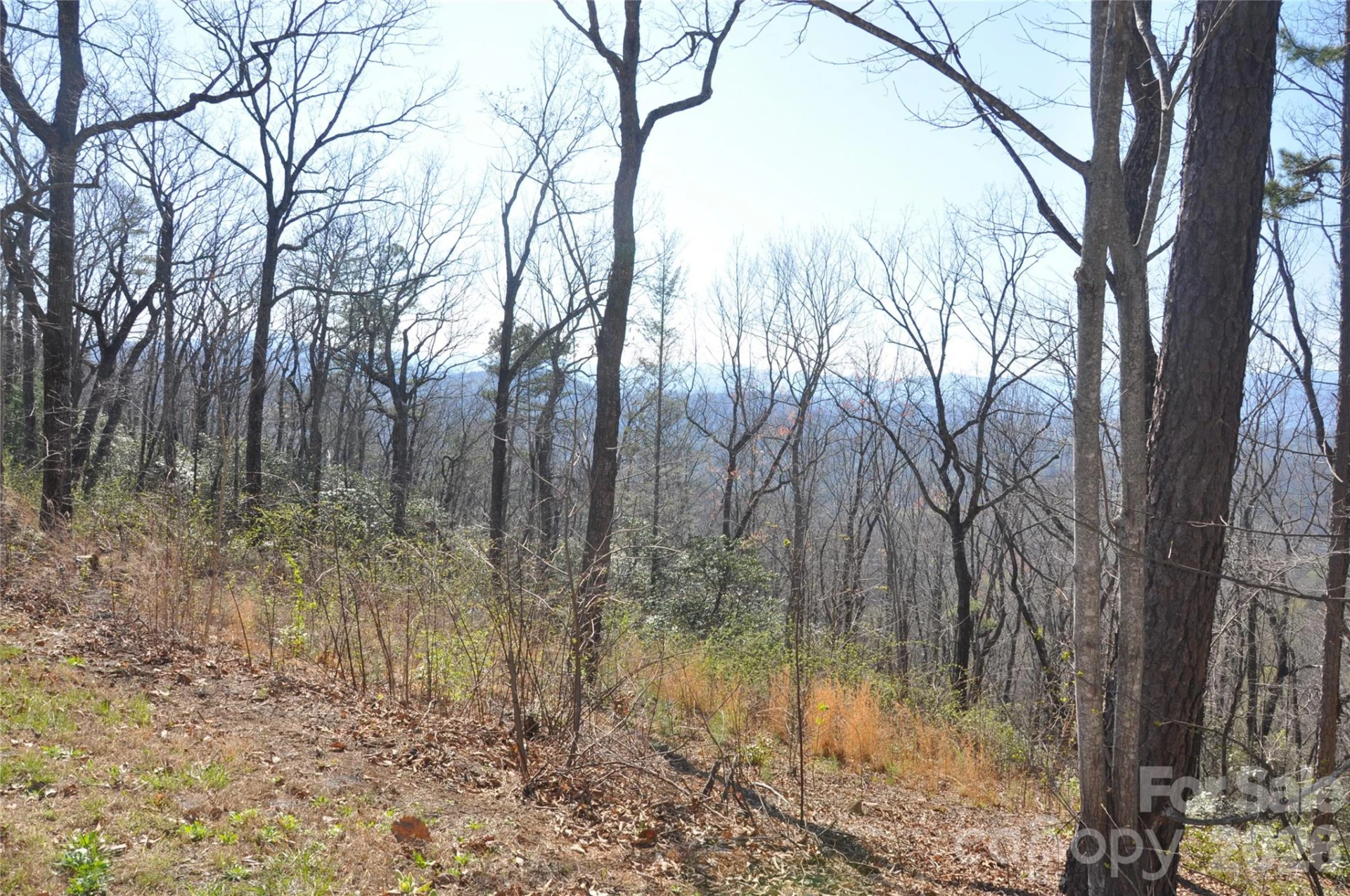 TBD Mountain Crest Drive S #41 - Photo 2