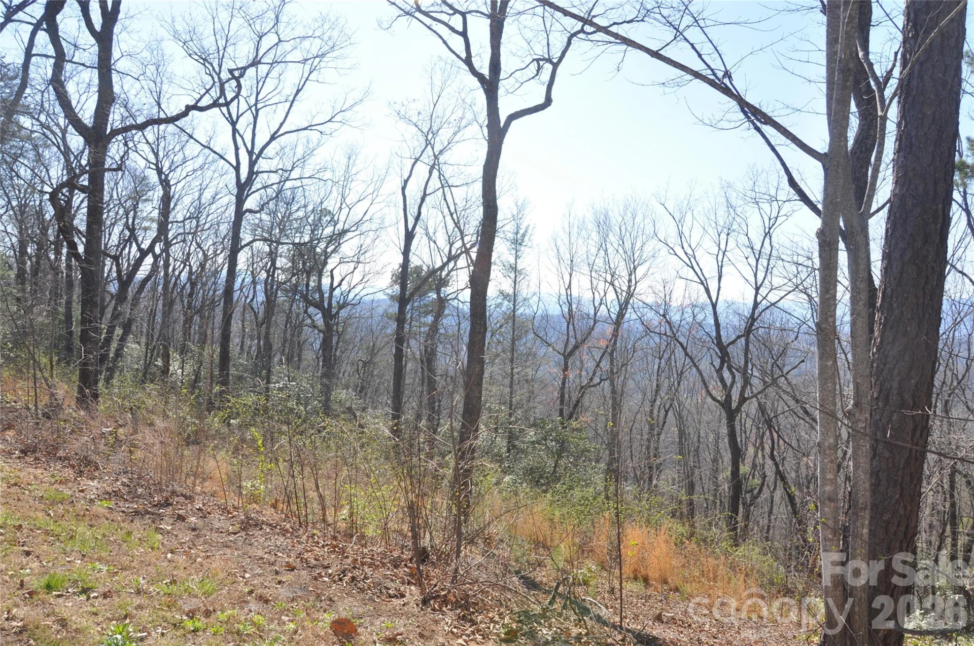 TBD Mountain Crest Drive S #41 - Photo 3
