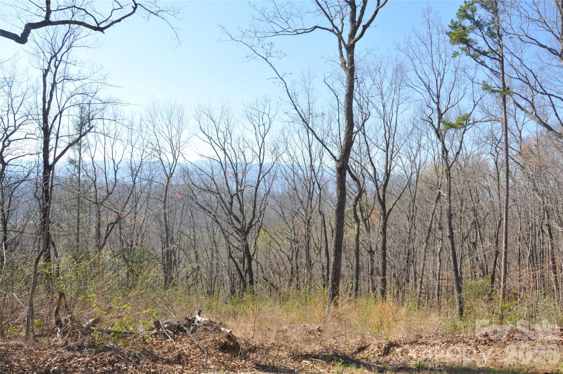 TBD Mountain Crest Drive S #41 - Photo 4