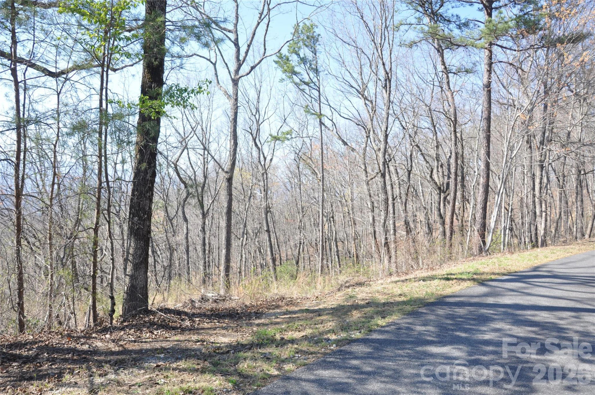 TBD Mountain Crest Drive S #41 - Photo 5