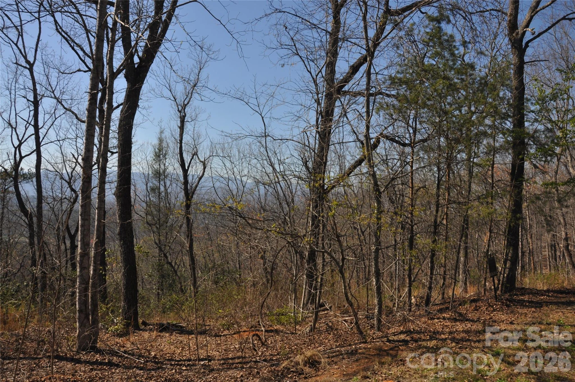 TBD Mountain Crest Drive S #41 - Photo 6