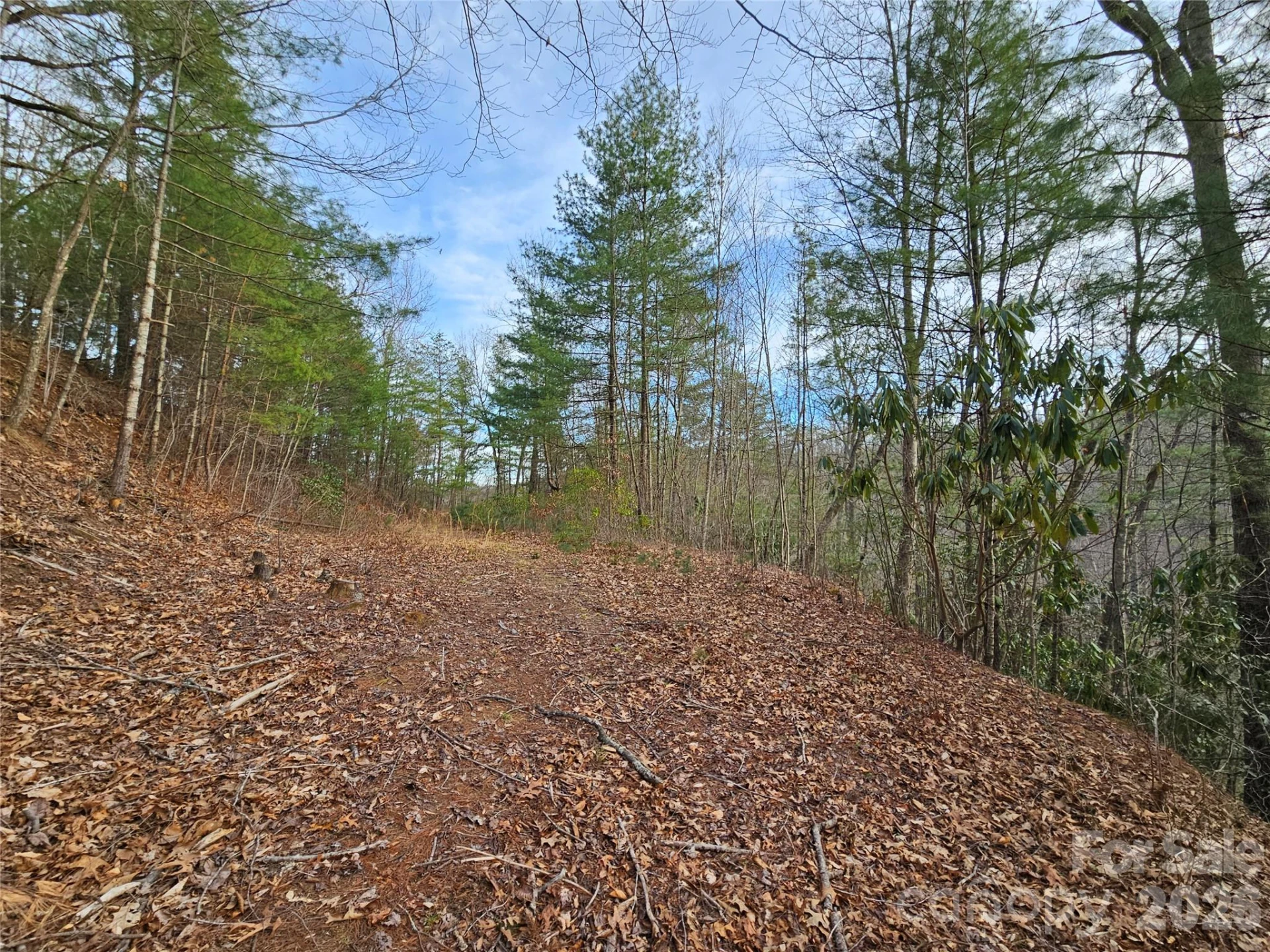 00 Wispy Willow Drive #22T