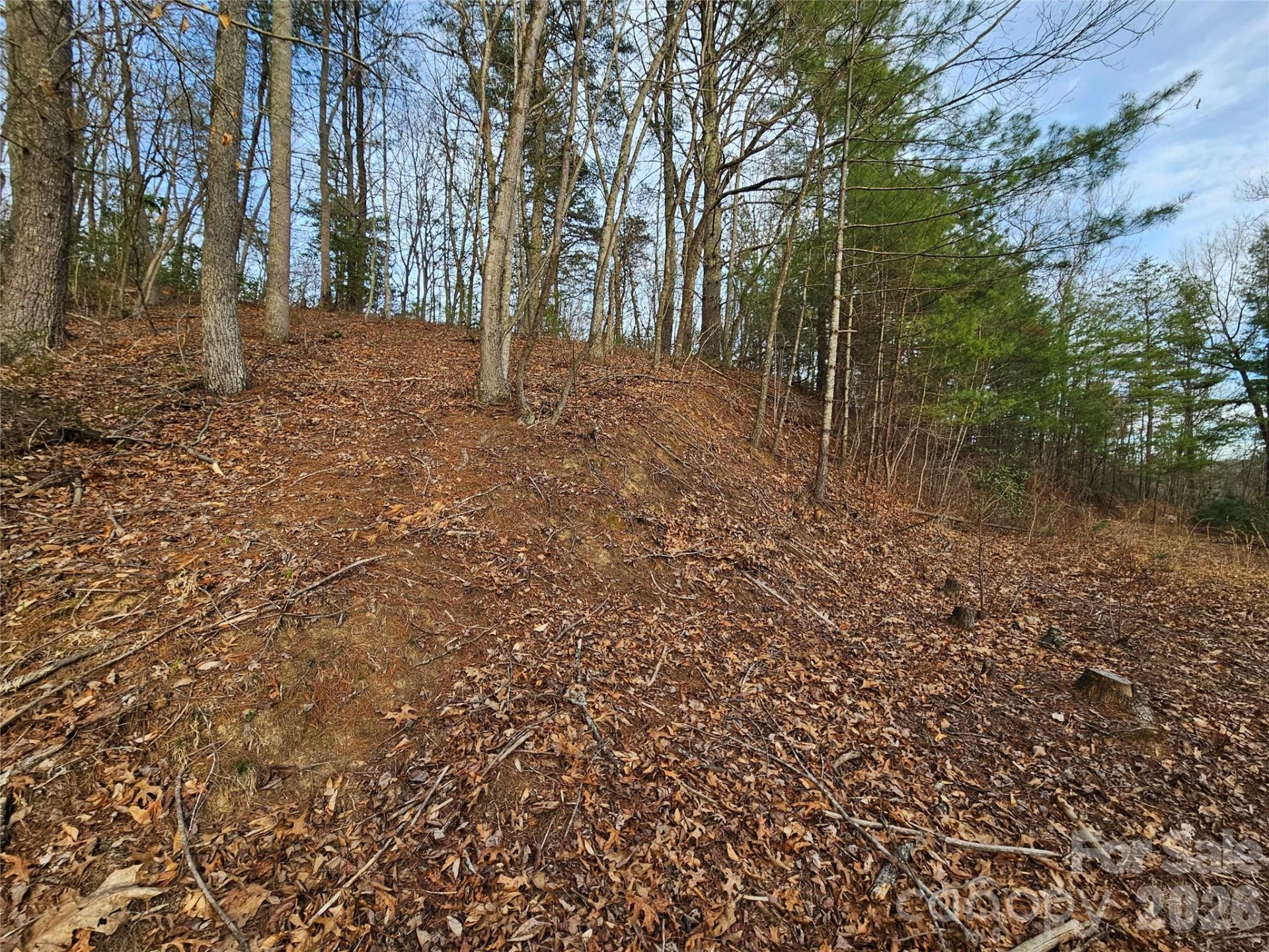 00 Wispy Willow Drive #22T - Photo 10