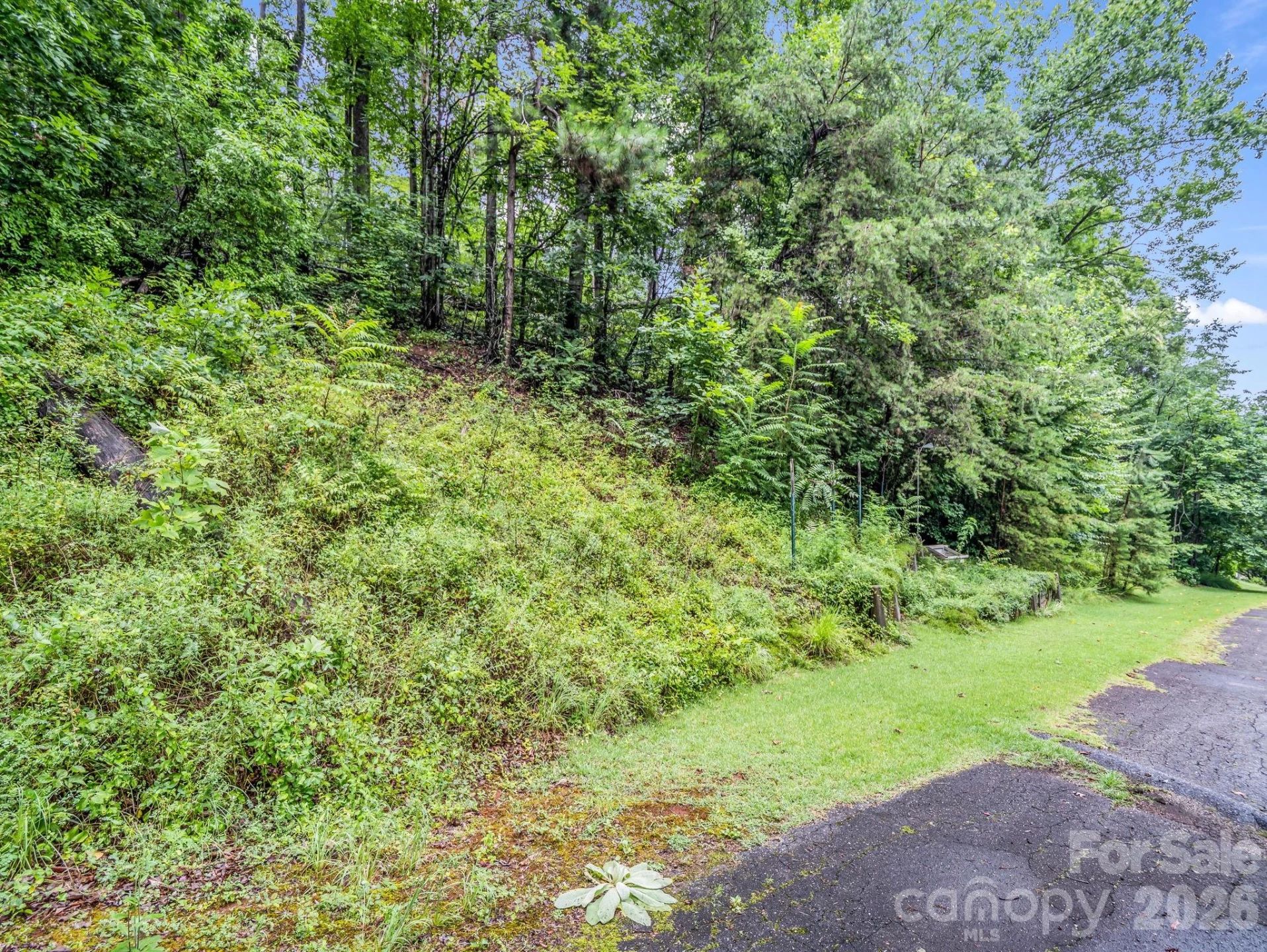 103 Maplewood Lane - Photo 38
