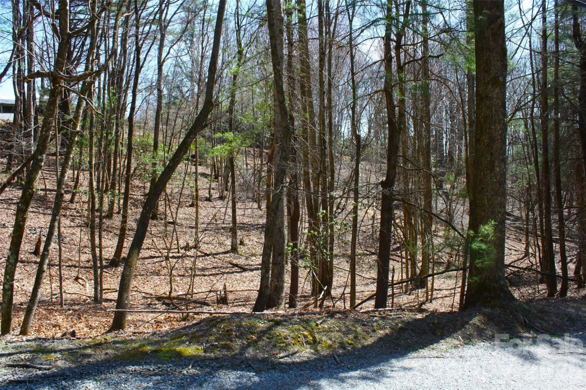 0000 Slick Rock Road - Photo 7