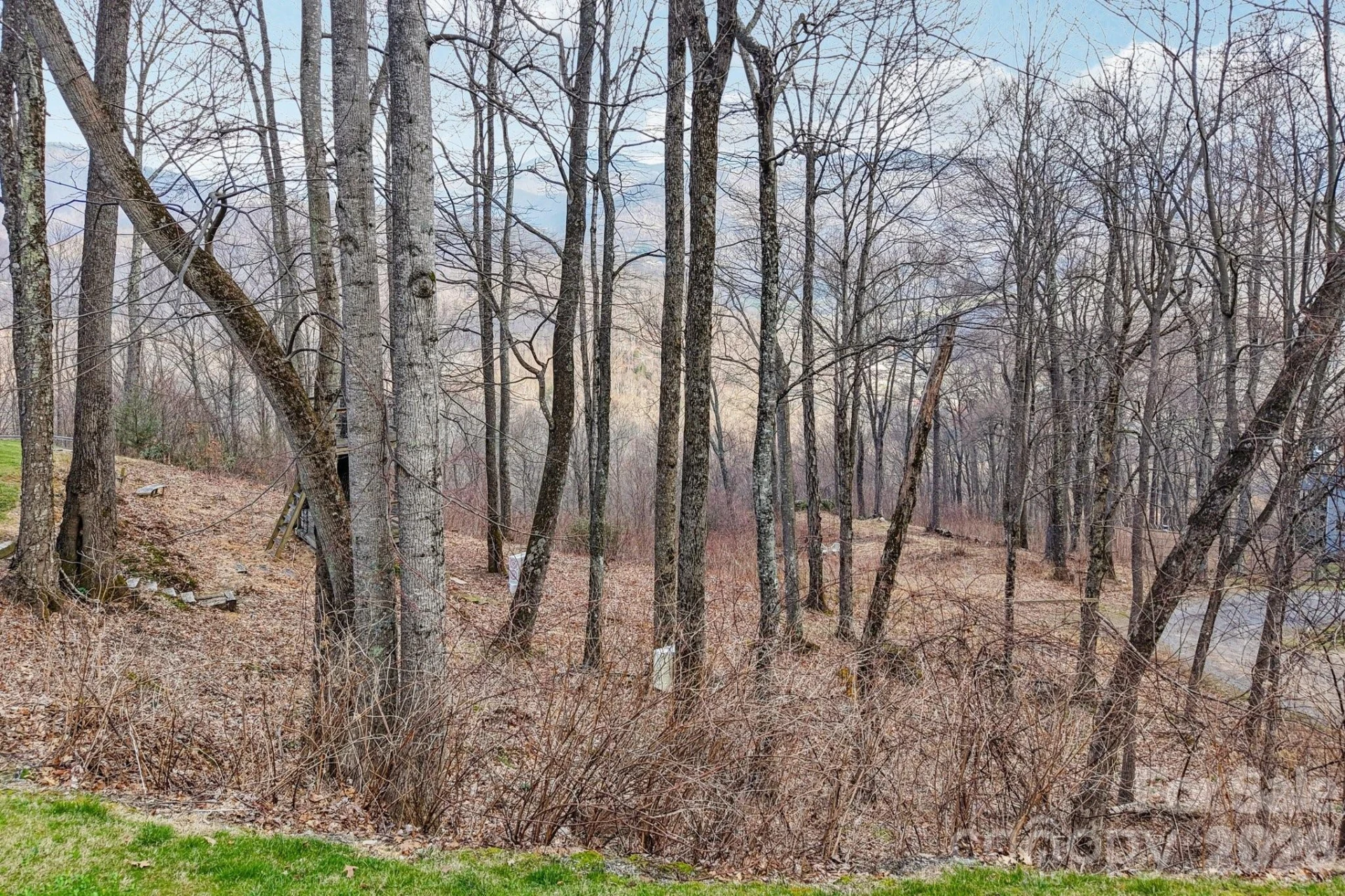 Lot 23 Robin Roost Road - Photo 12