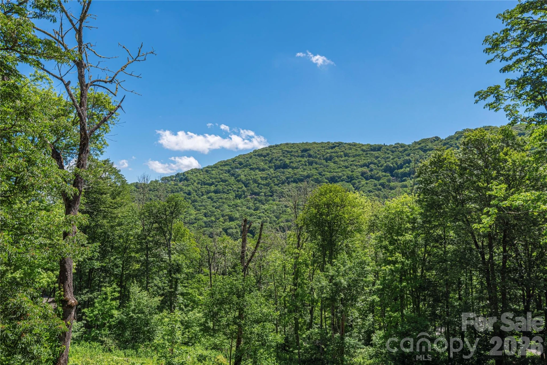 85 Iga Trail - Photo 33