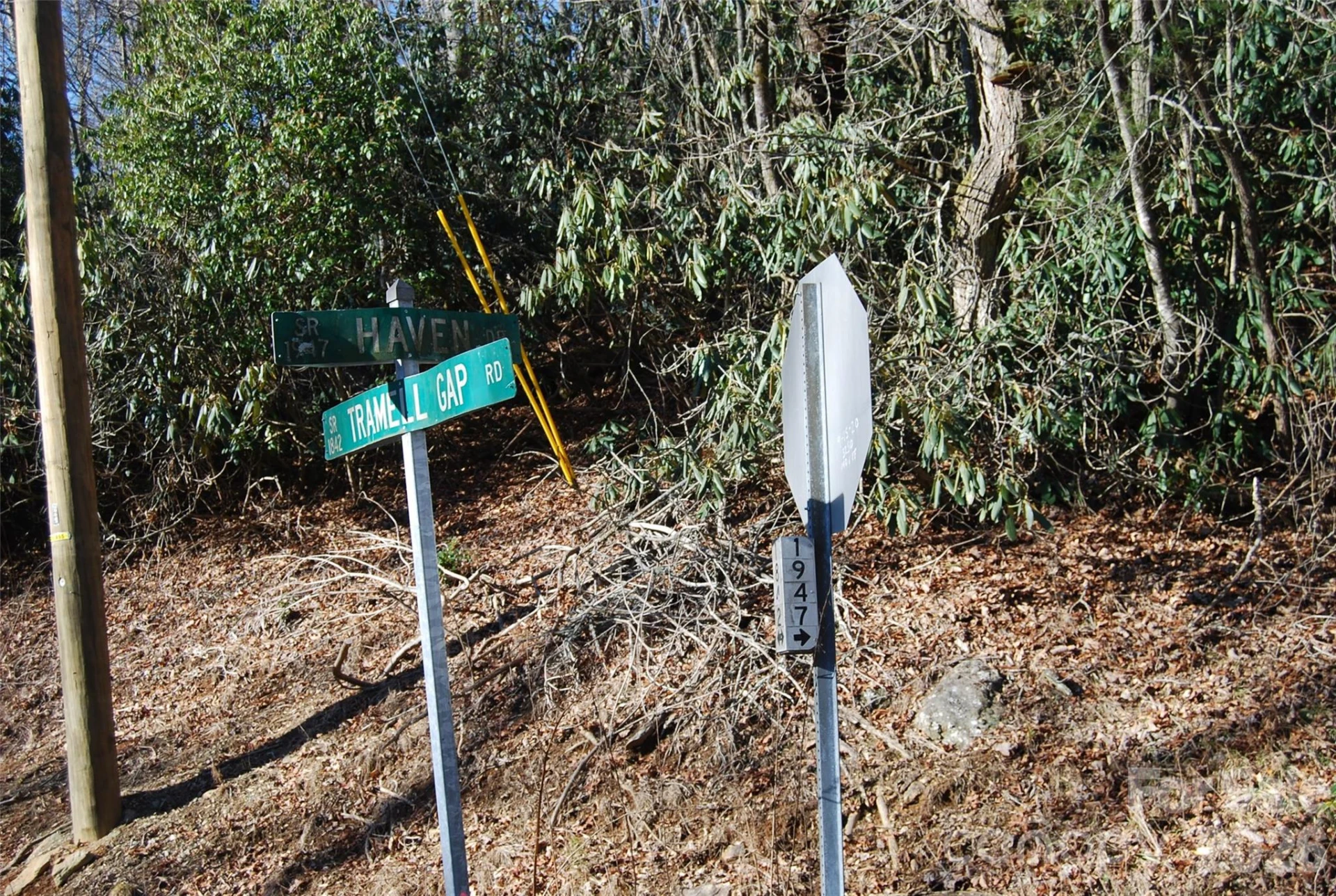 87 Pole Cat Road - Photo 5