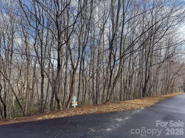 9999 Rainbow Falls Trail, Black Mountain, NC, 28711
