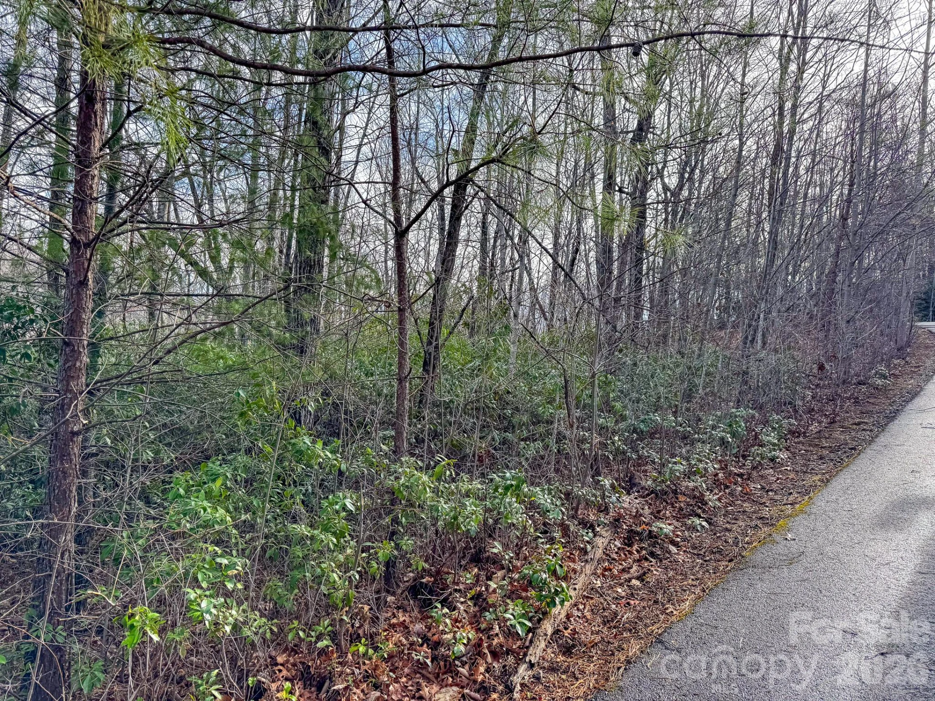 9999 Rainbow Falls Trail - Photo 3