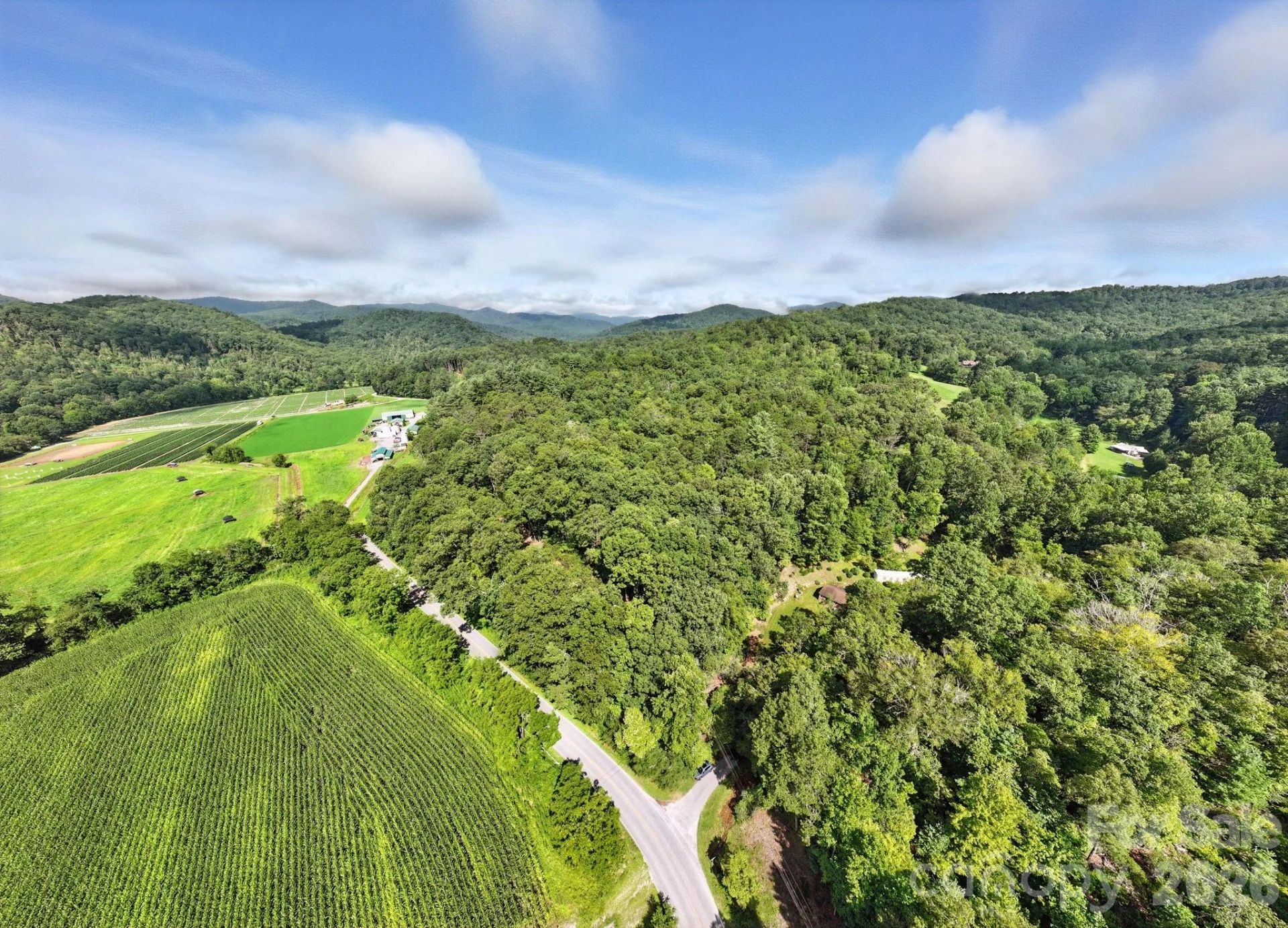 0000 Mullinax Cove Road - Photo 3