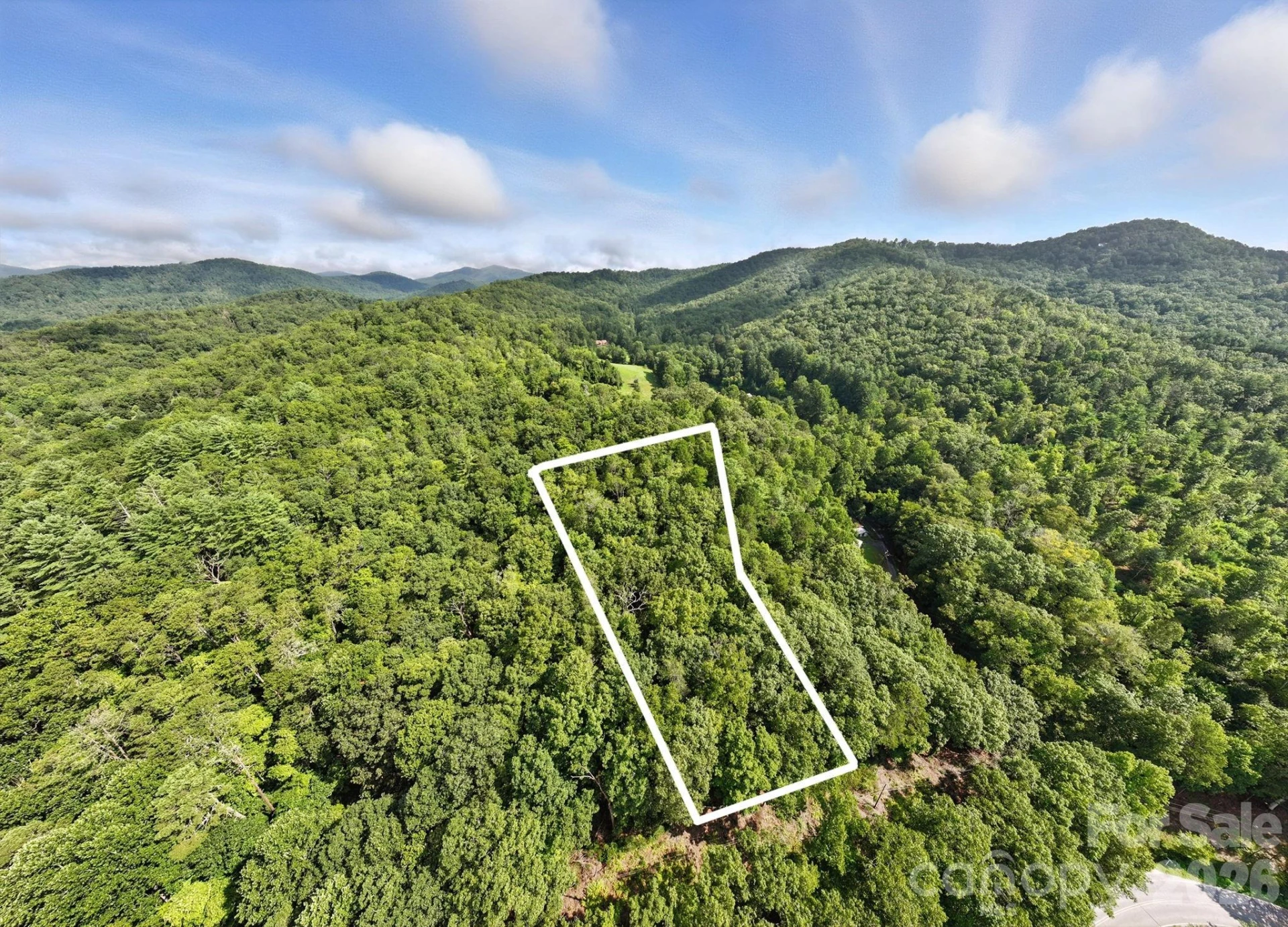 0000 Mullinax Cove Road - Photo 4