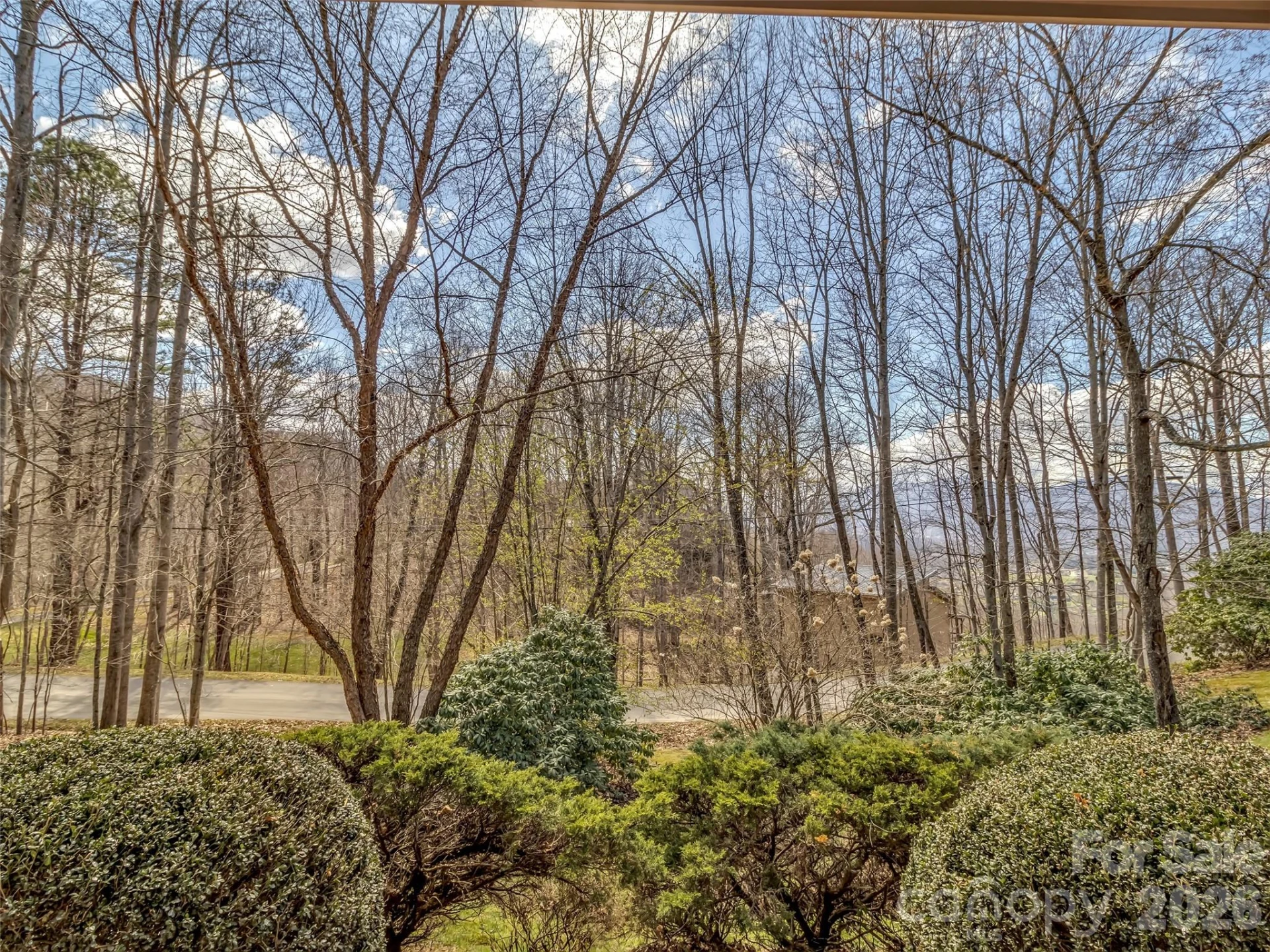523 Brandywine Road - Photo 36