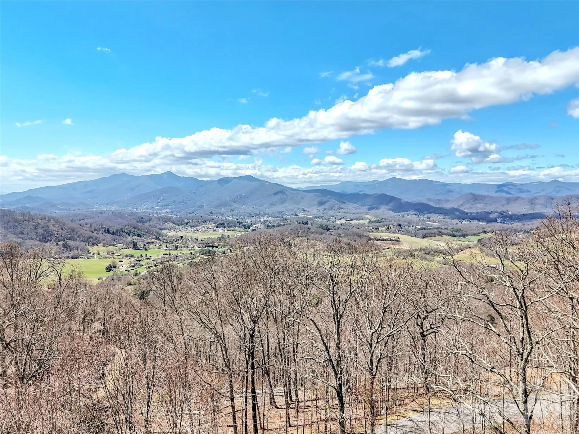 523 Brandywine Road - Photo 45