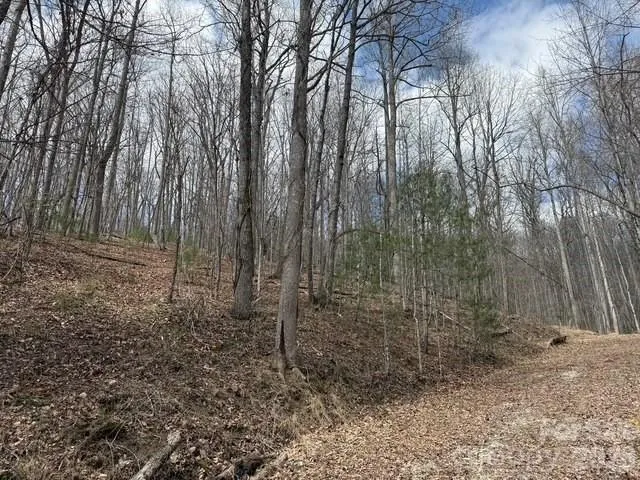 158 Chattooga Run