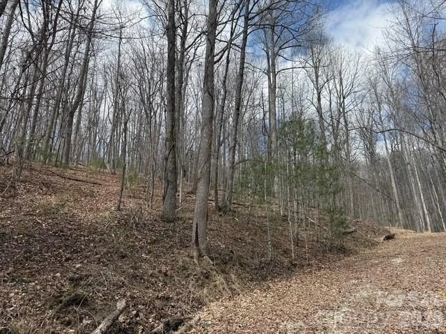 158 Chattooga Run #402