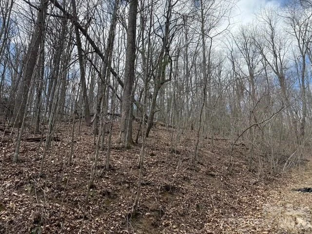 158 Chattooga Run #402 - Photo 2