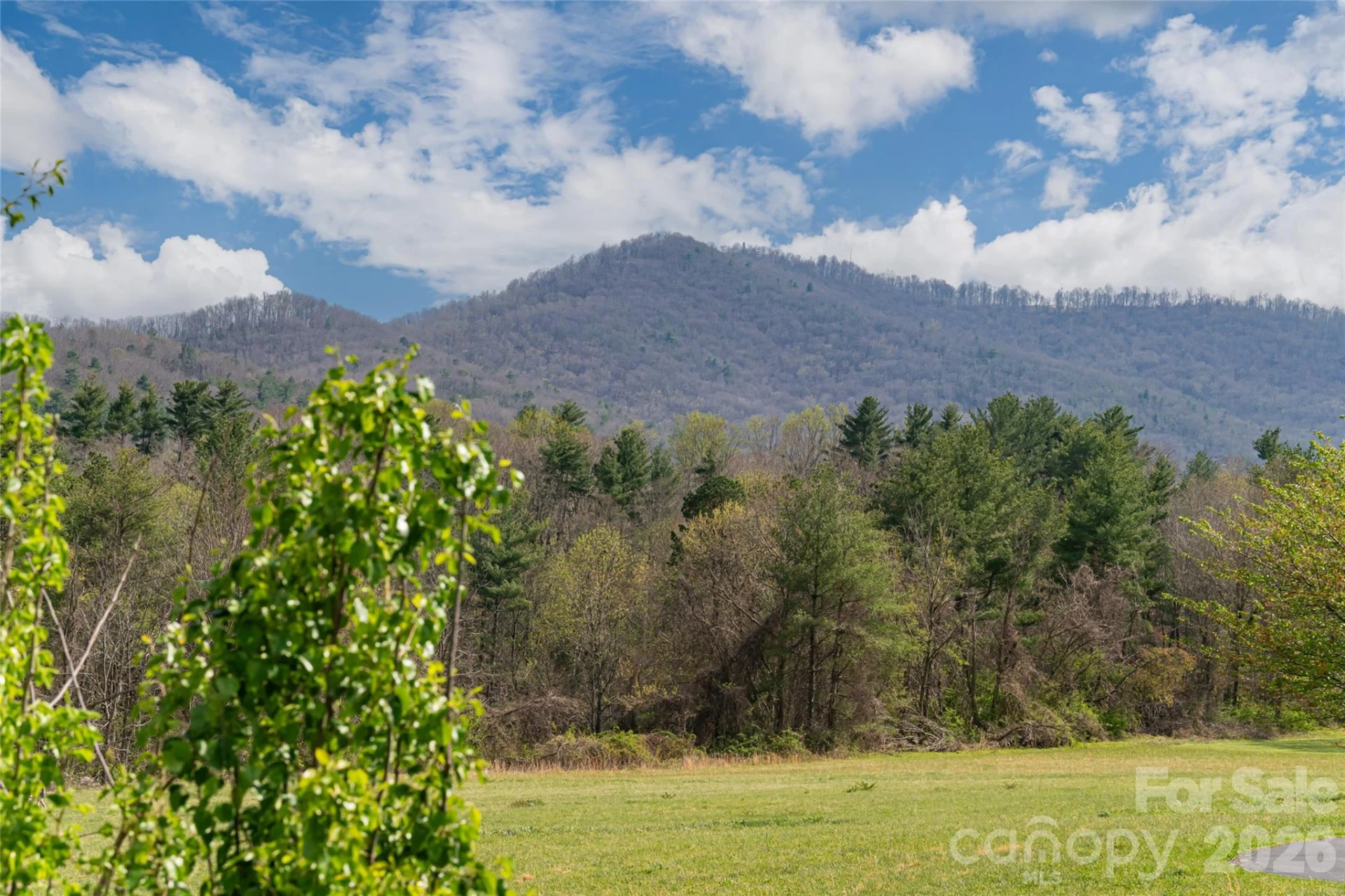 35 Alice Clement Lane - Photo 19