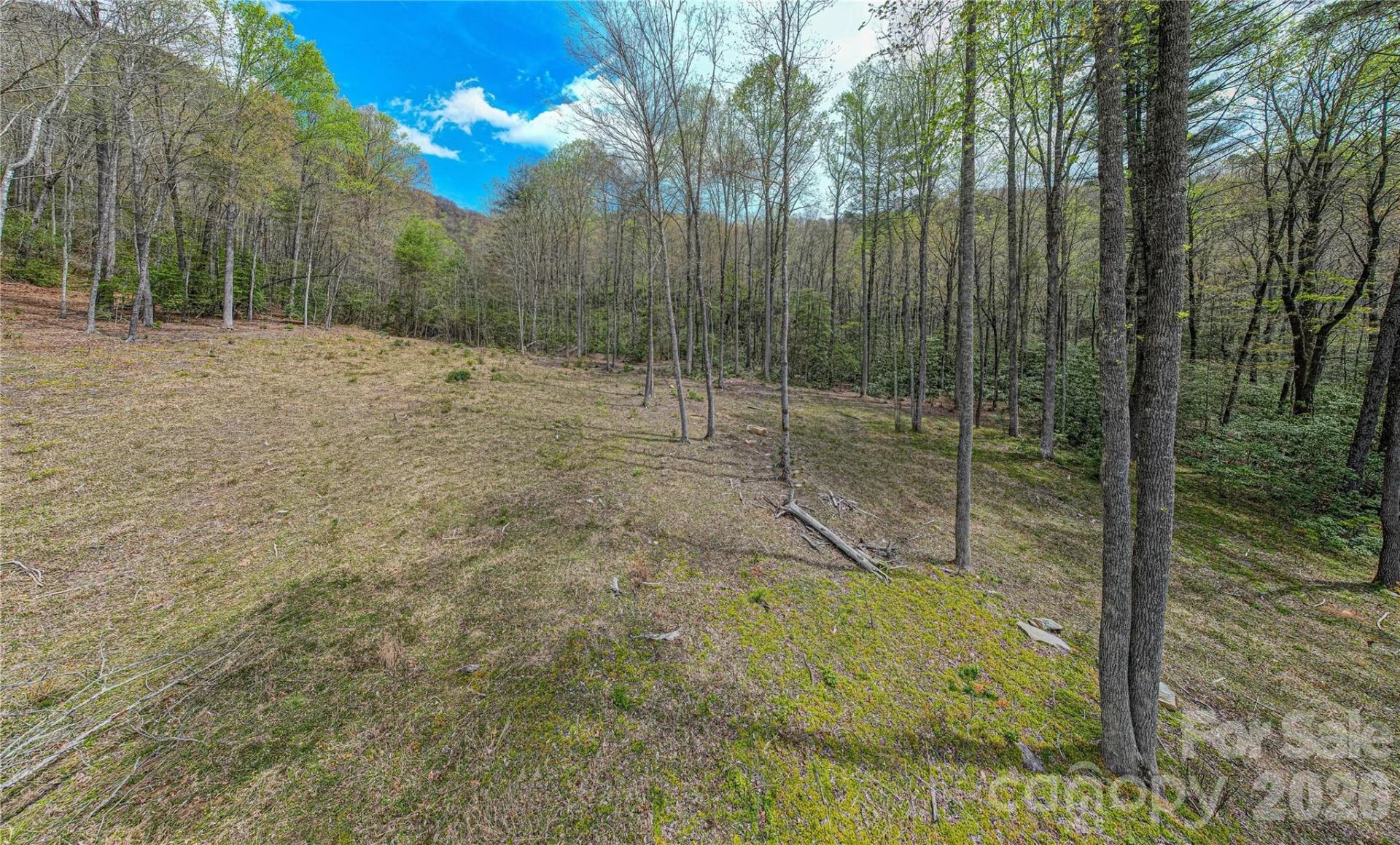 000 Rosman Highway - Photo 2