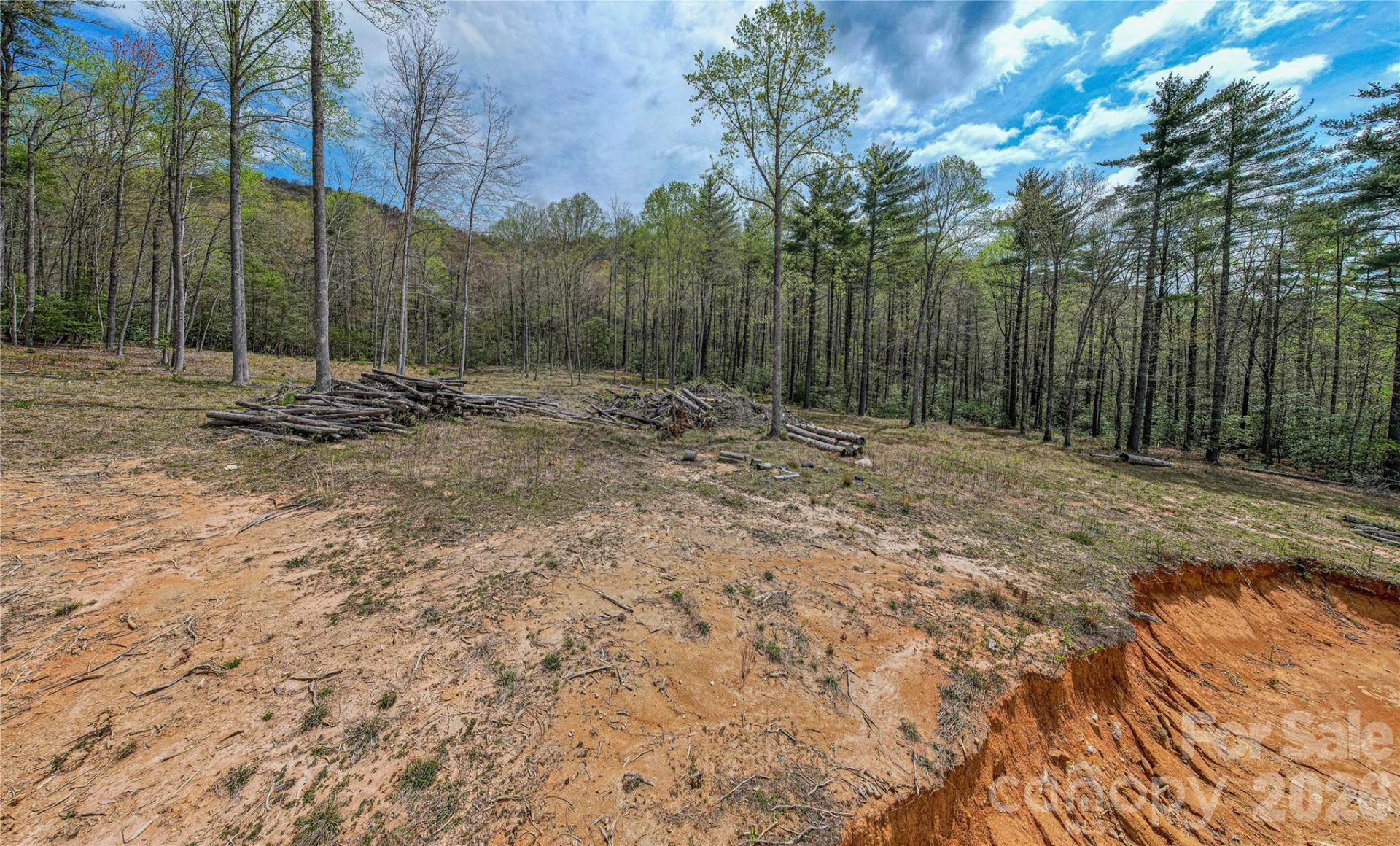 000 Rosman Highway - Photo 16