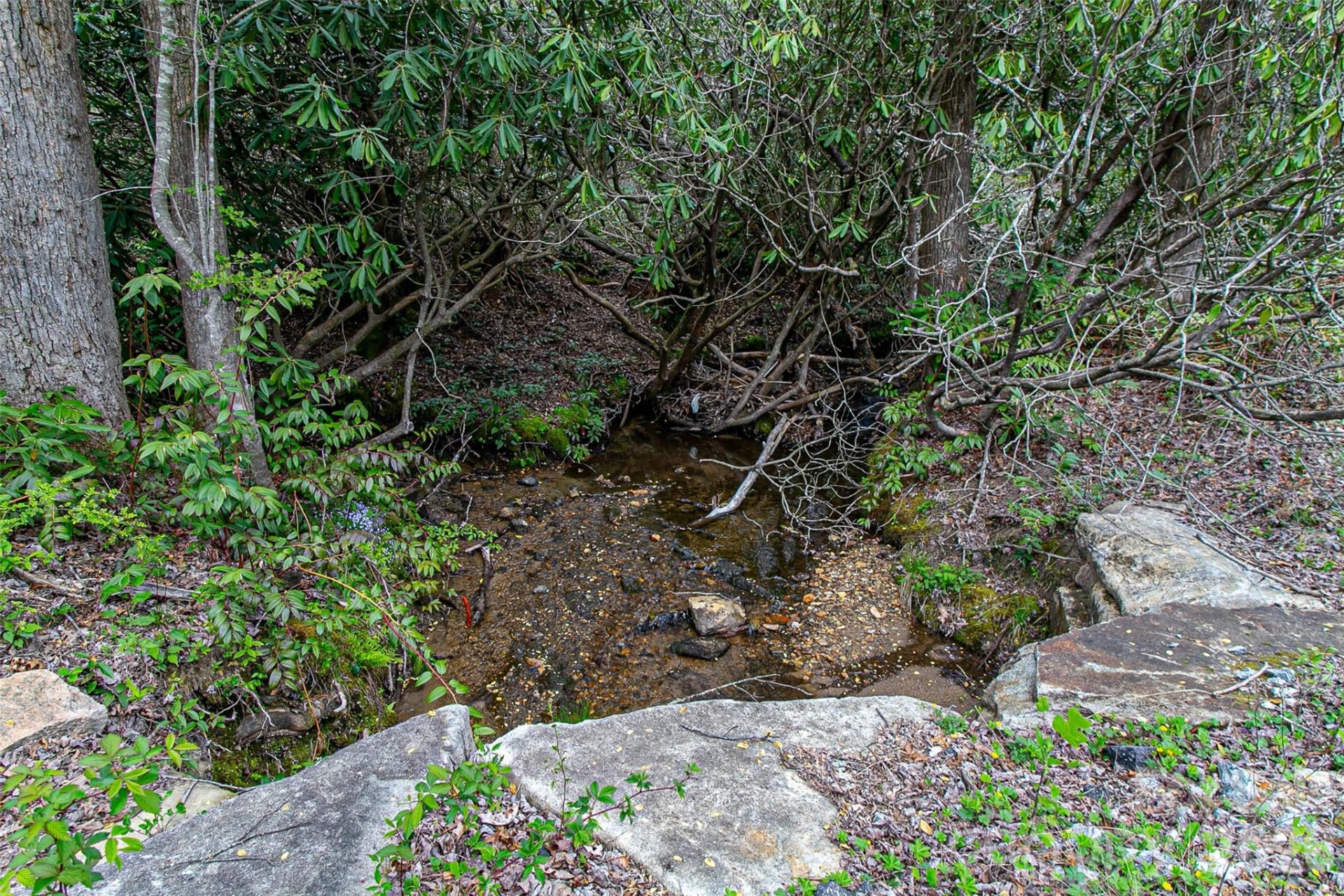 000 Rosman Highway - Photo 20