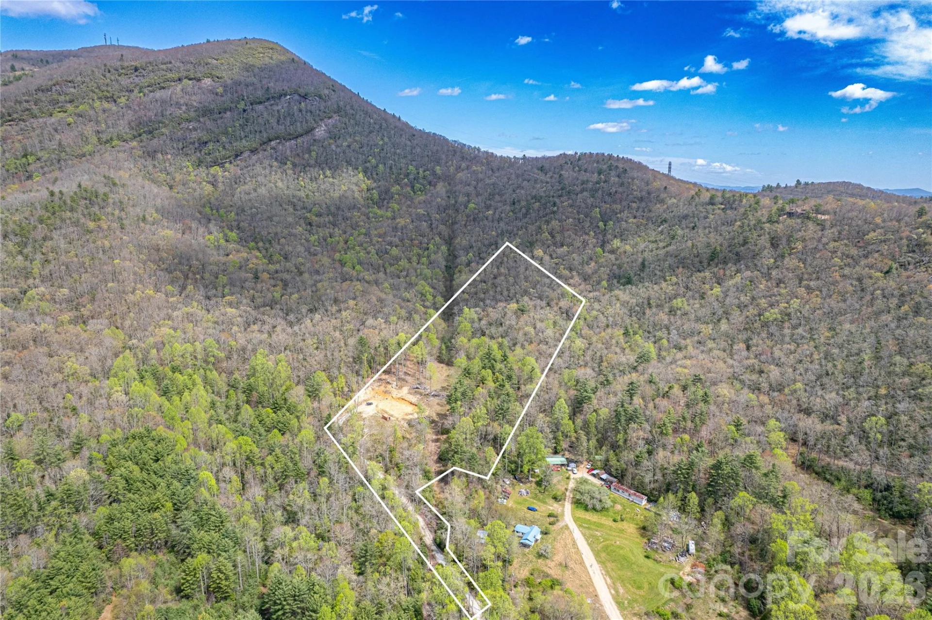 000 Rosman Highway - Photo 8