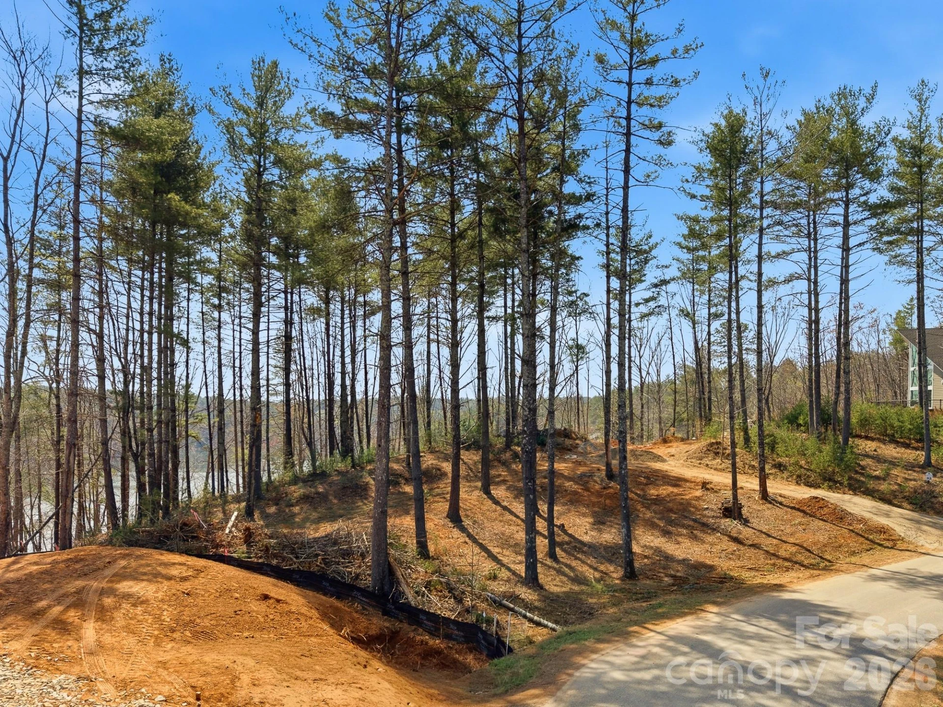 291 S Crest View Street - Photo 2