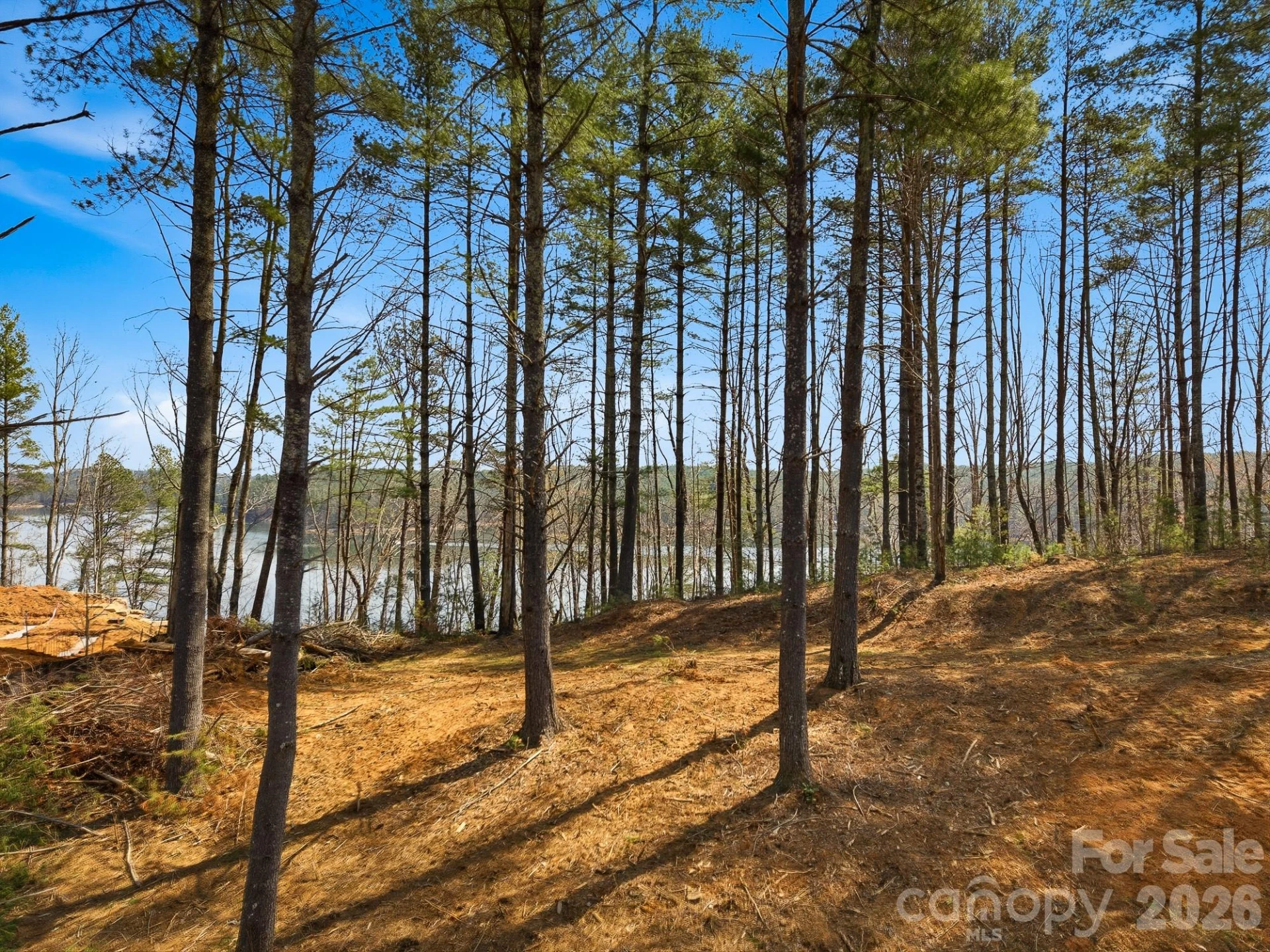 291 S Crest View Street - Photo 3