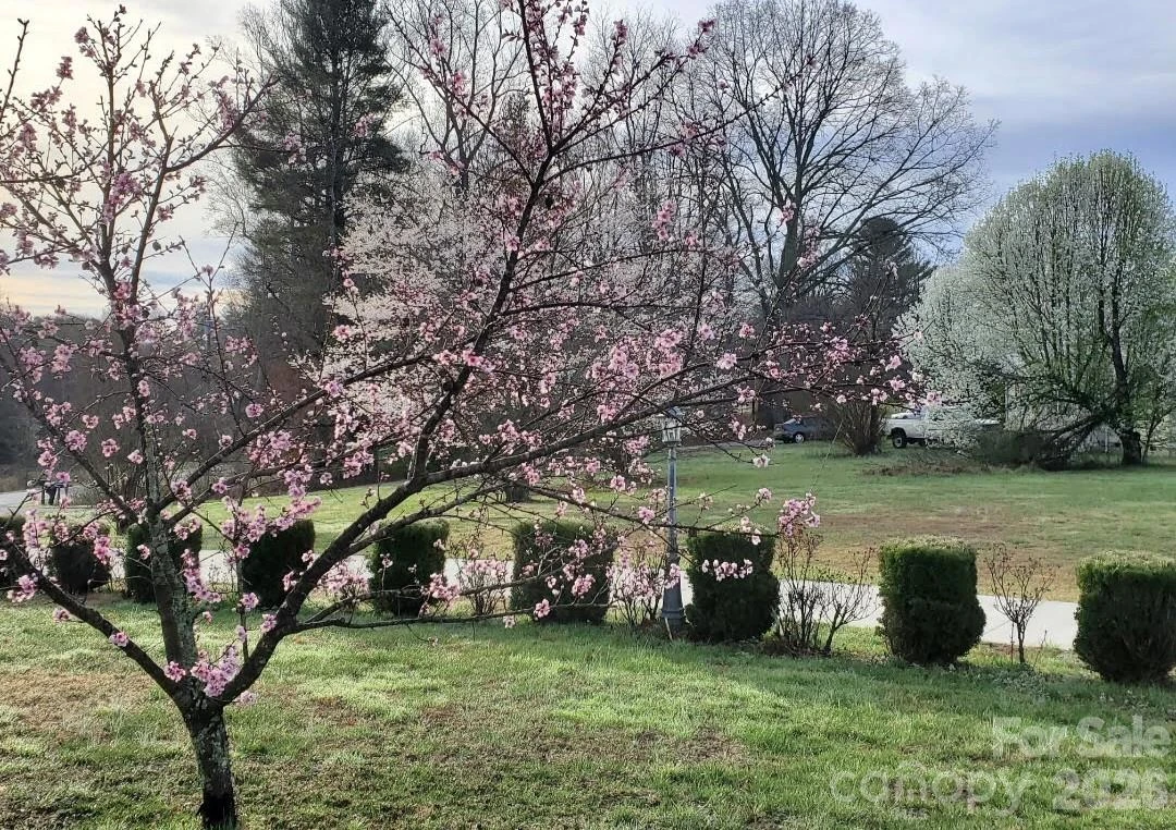 476 Jackson Loop Road - Photo 27