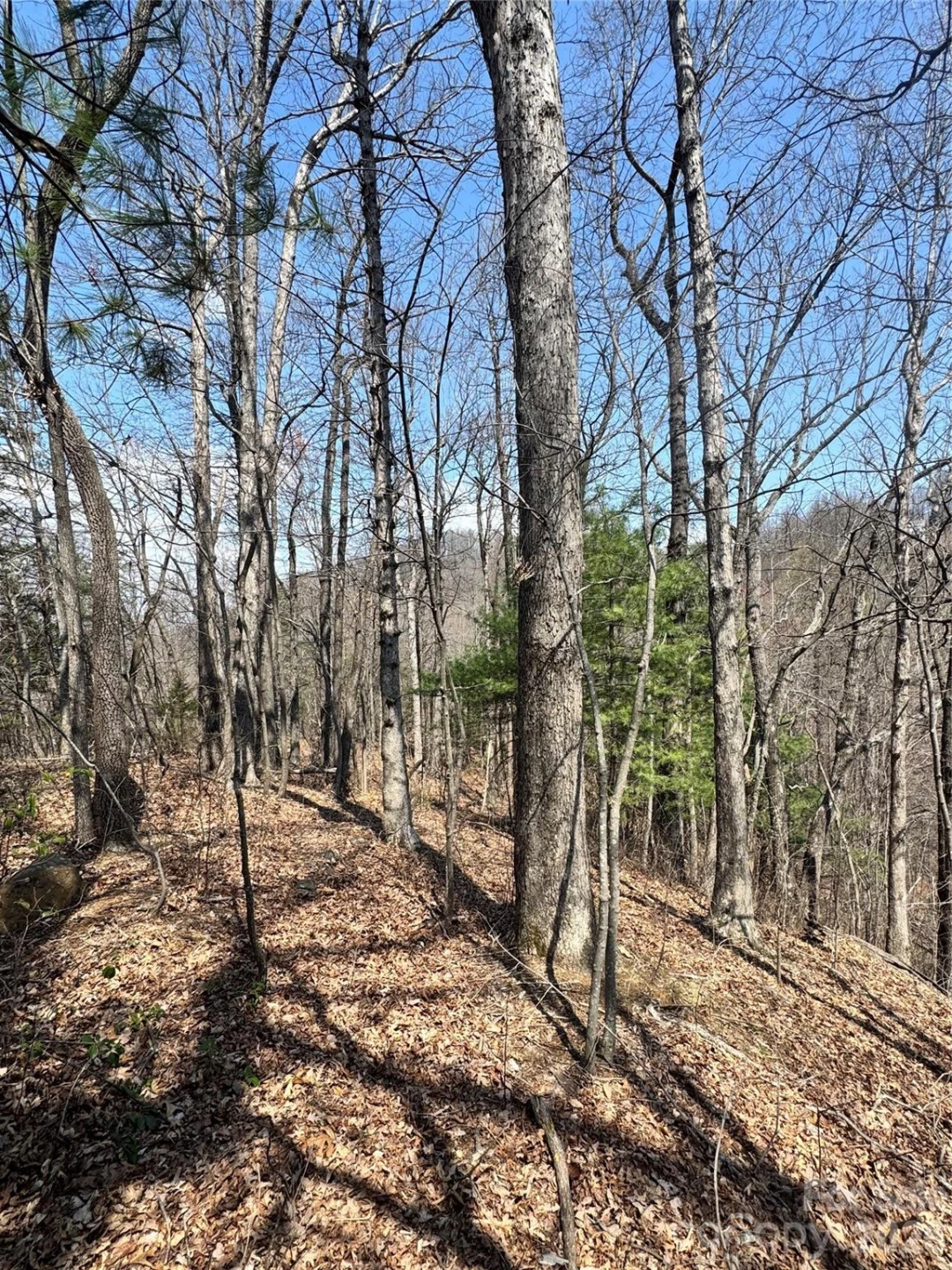 0000 Pinnacle Parkway - Photo 3