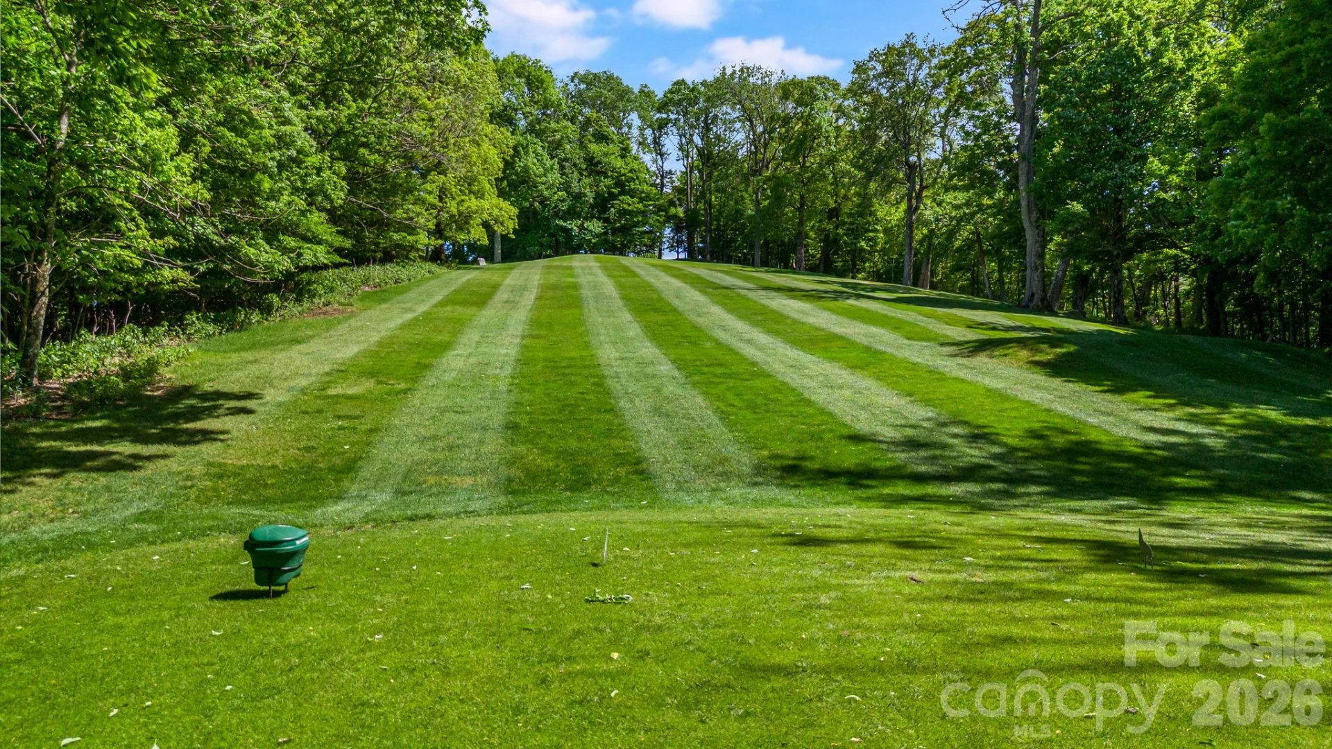 721 Mckinney Gap Drive - Photo 4