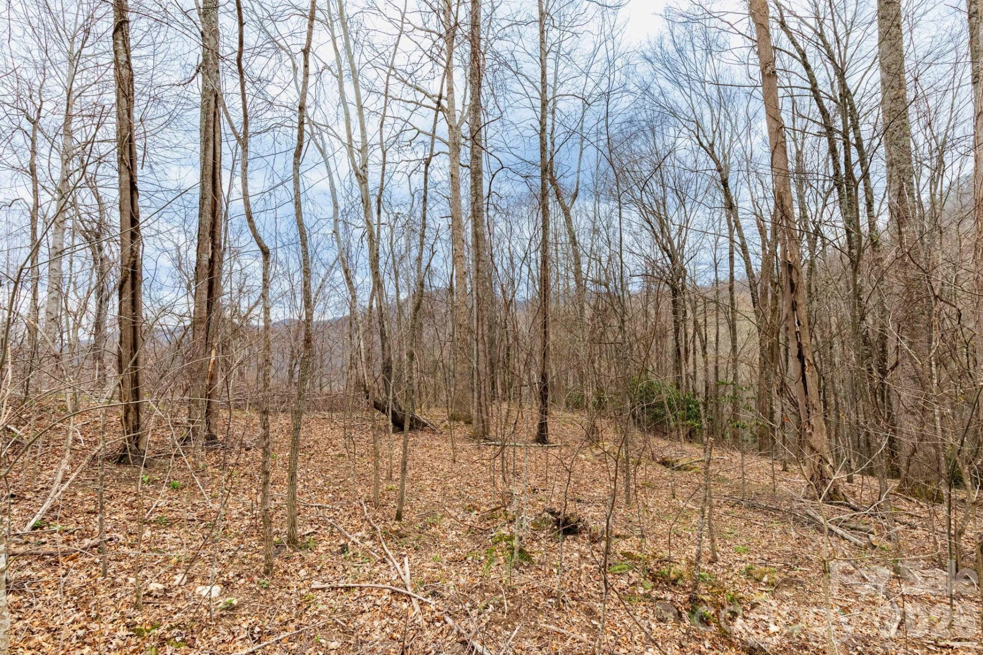 11 Chandra Lane - Photo 7