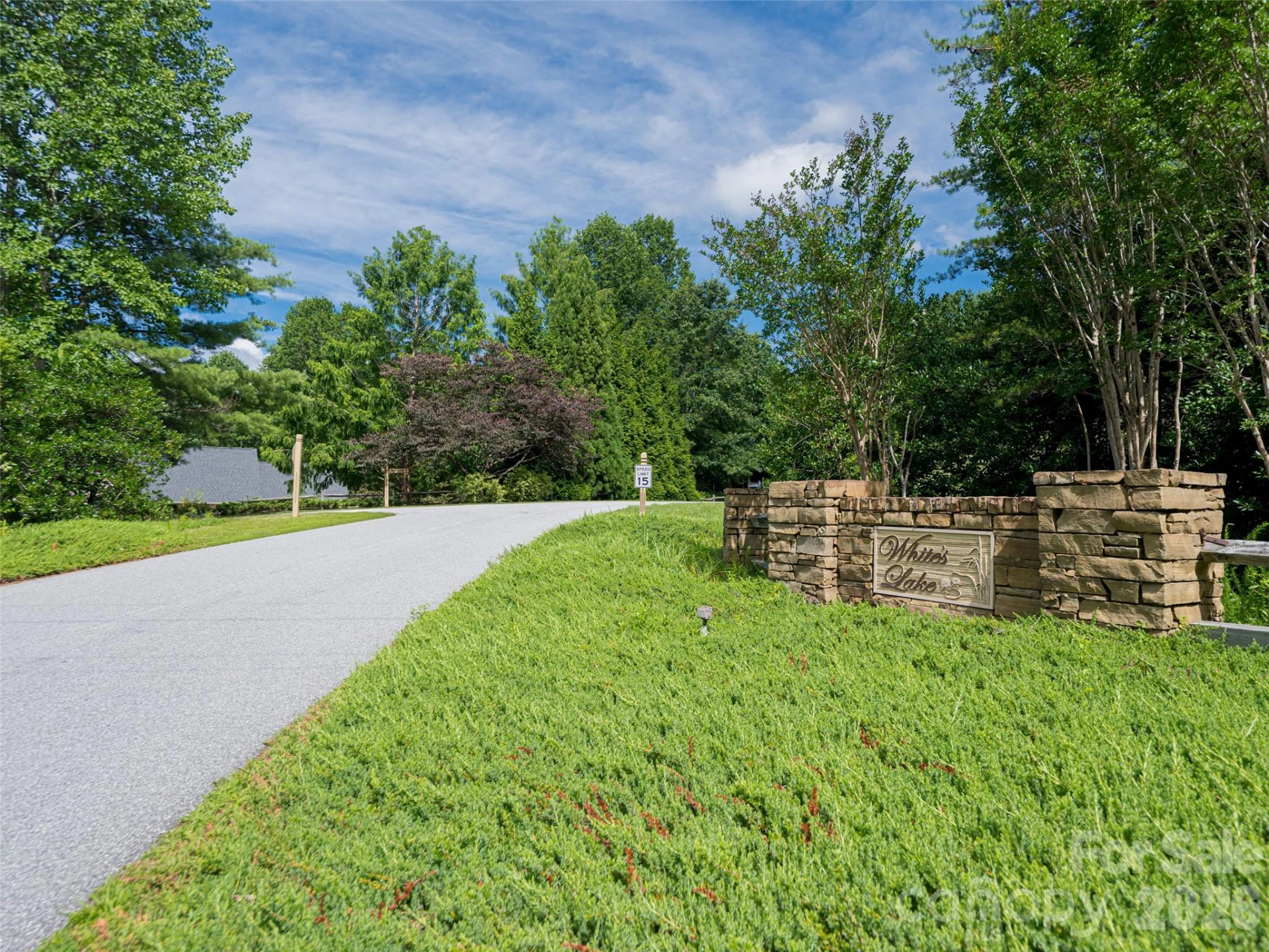 935 Whites Lake Boulevard - Photo 46