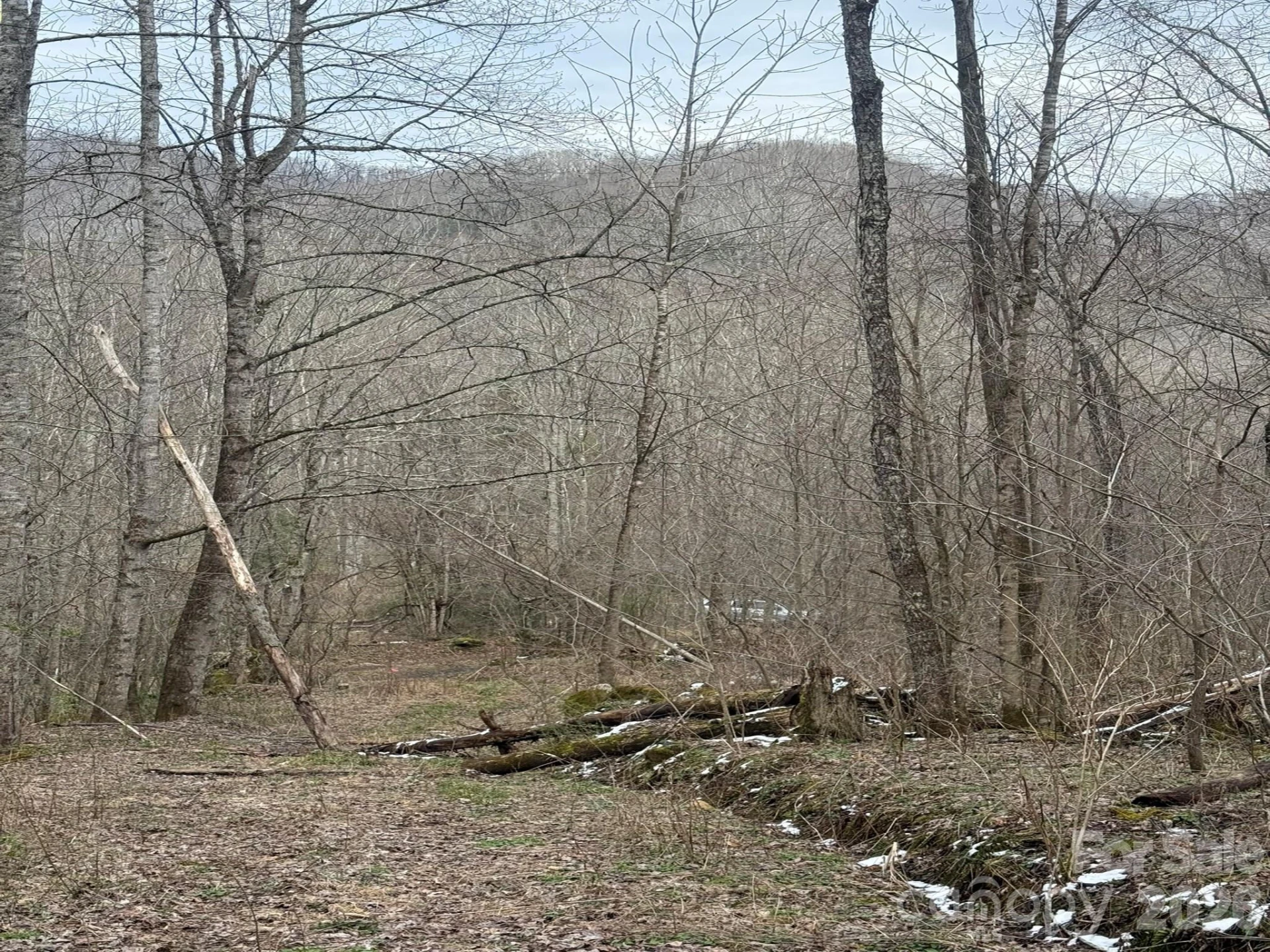 TBD 1.21 Acres Jass Cove Road - Photo 2