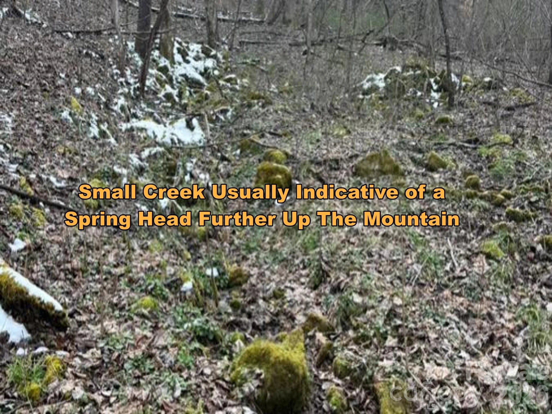 TBD 1.21 Acres Jass Cove Road - Photo 9