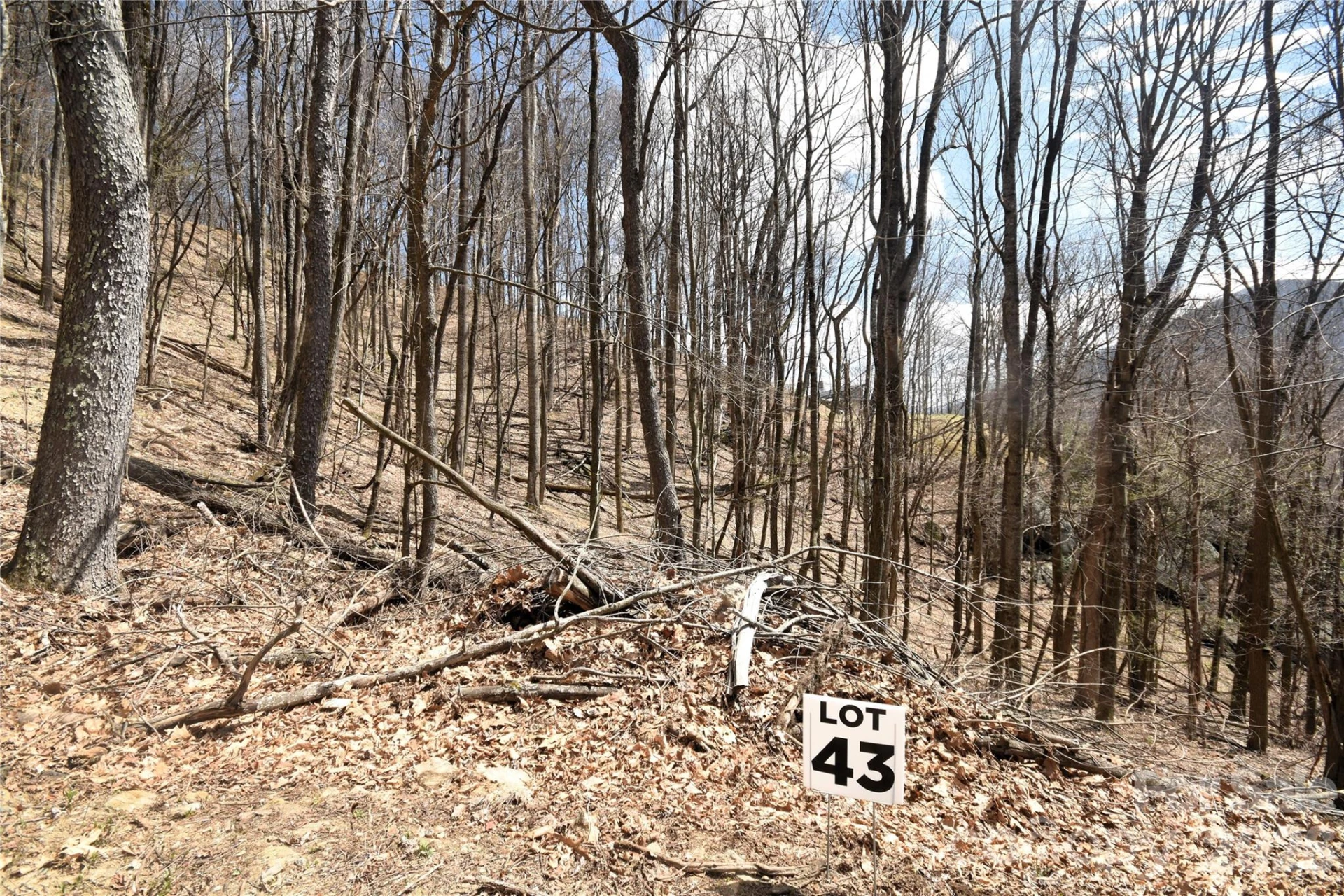 43 Marble Stone Drive #43 - Photo 5