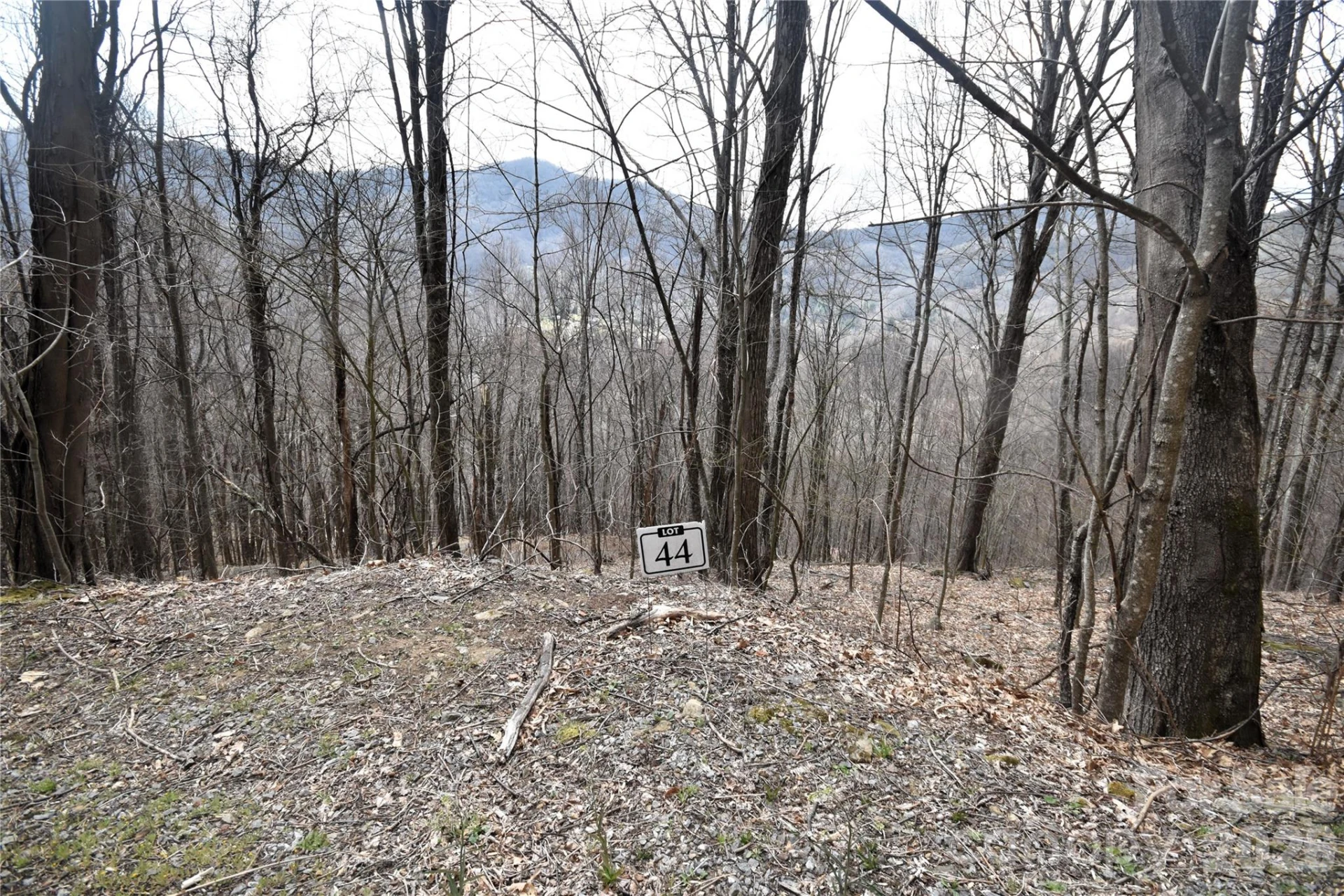 44 Prosperity Ridge #44 - Photo 3