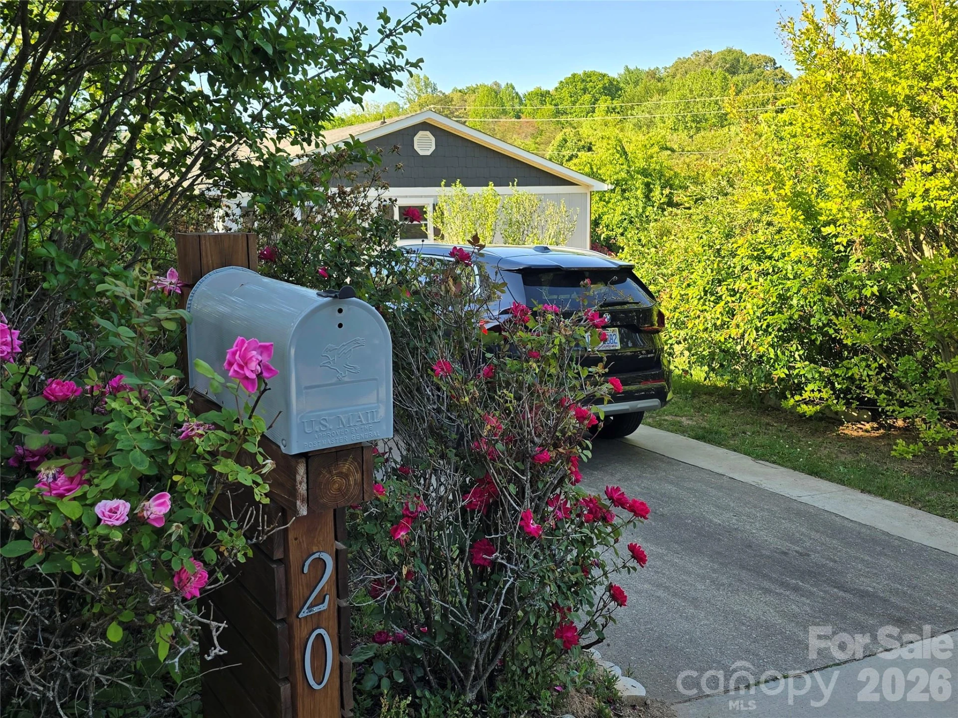 20 Mount Carmel Drive - Photo 19