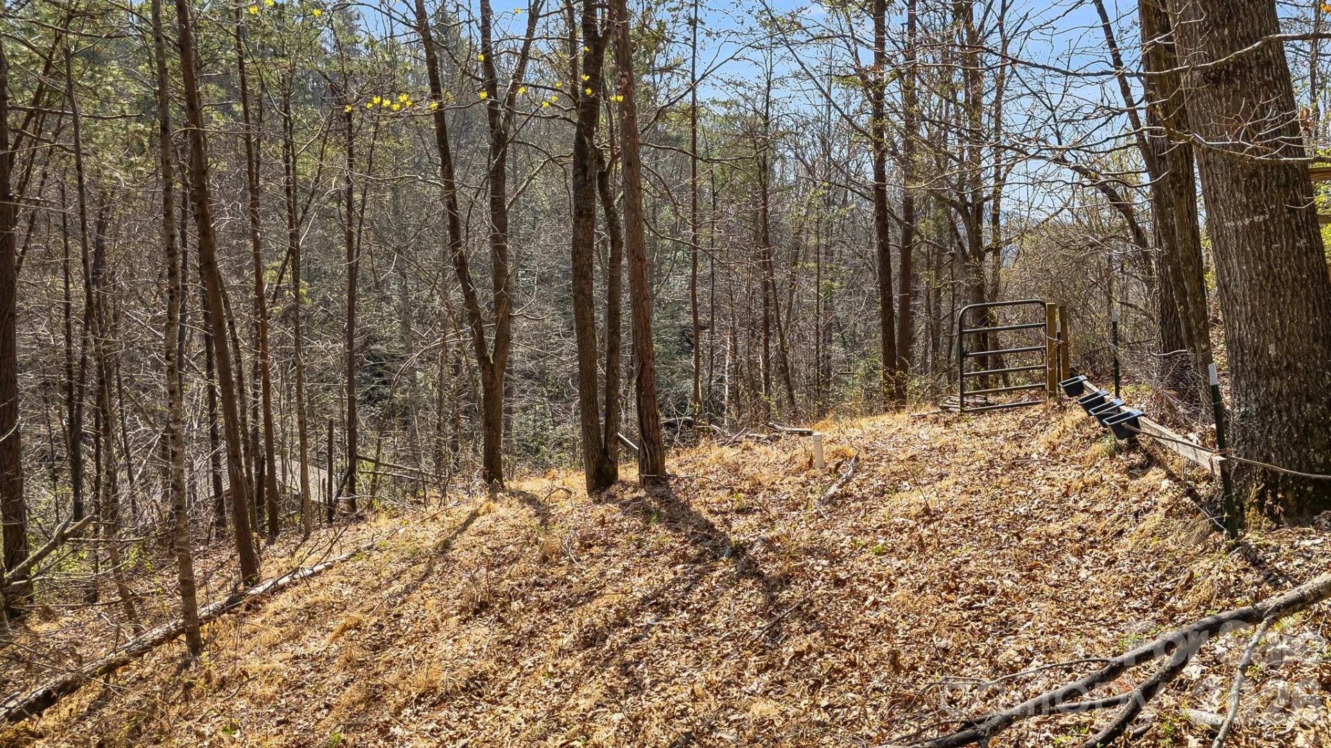 403 Youngs Gap Road - Photo 36