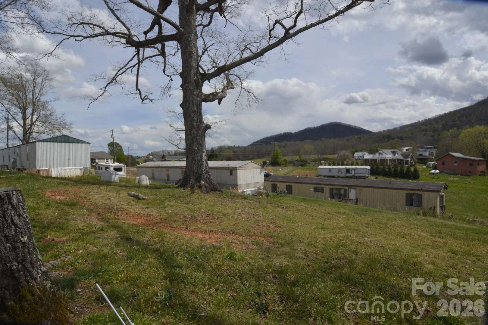 537 Old Newfound Road - Photo 6