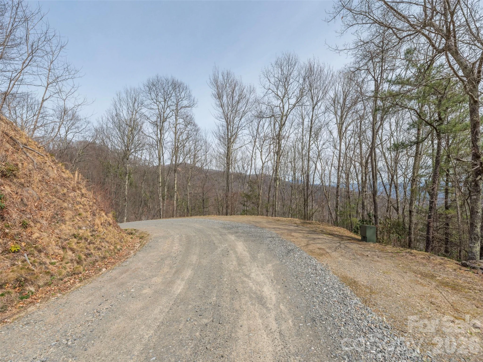 0000 Sigogglin Trail #4 - Photo 2