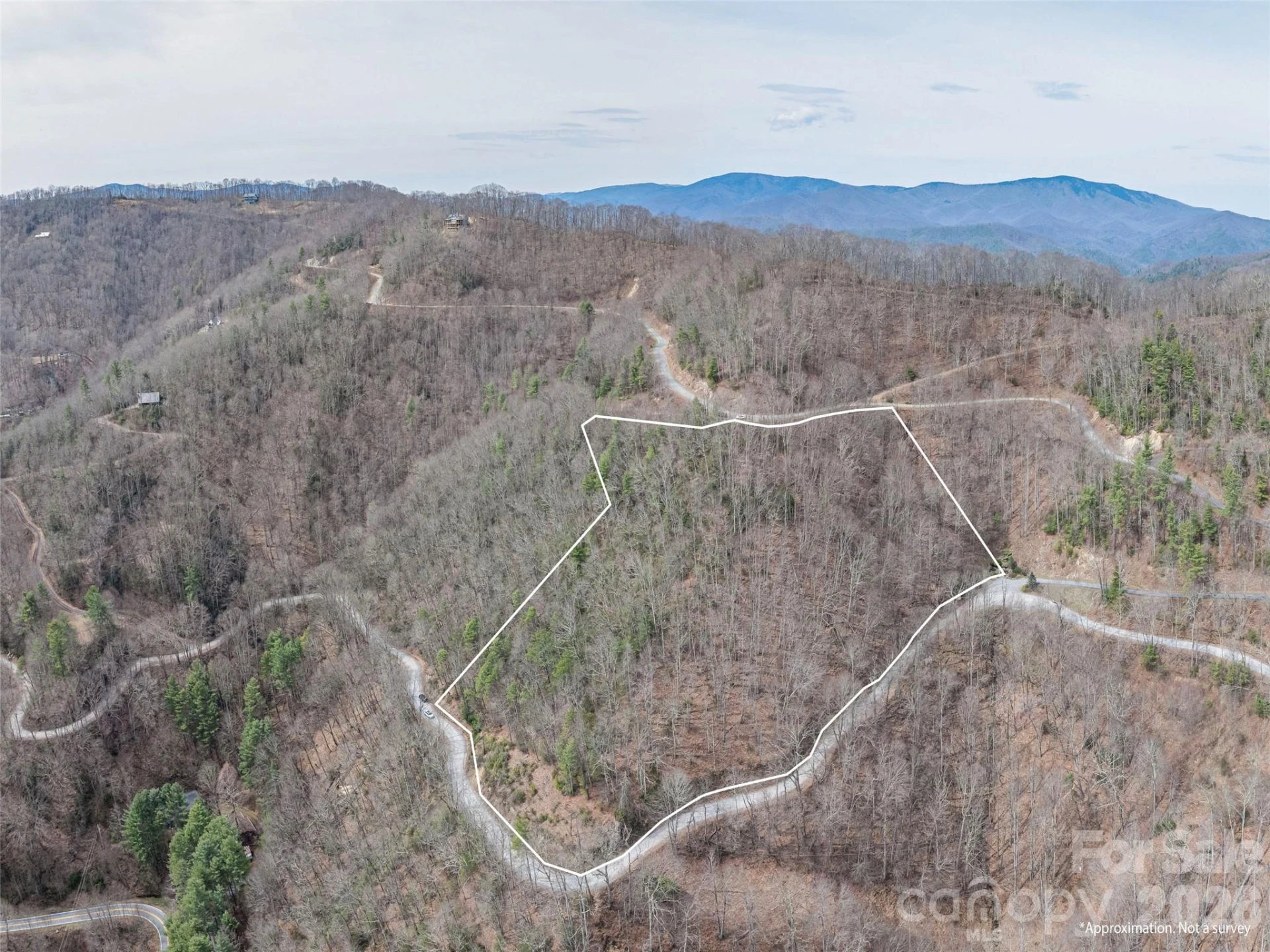 0000 Sigogglin Trail #4 - Photo 11