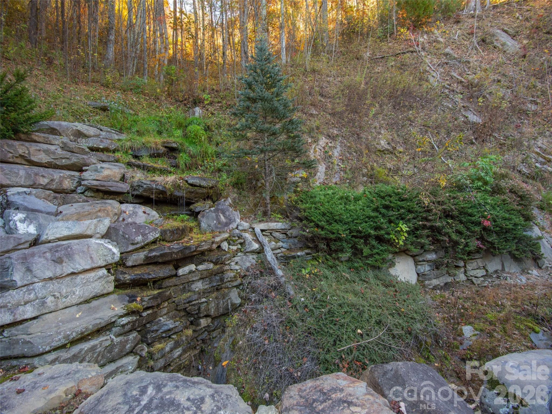 0000 Sigogglin Trail #4 - Photo 16